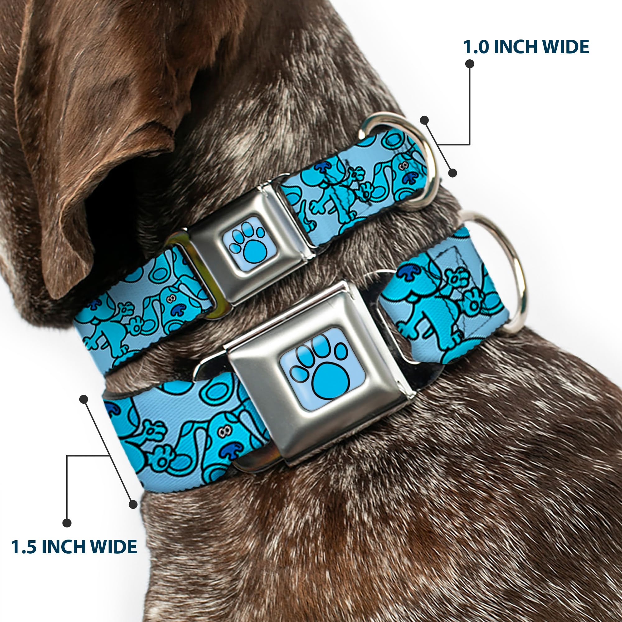 Dog Collar Seatbelt Buckle Blues Clues Blue Poses Scattered 16 To 23 Inches 1.5 Inch Wide