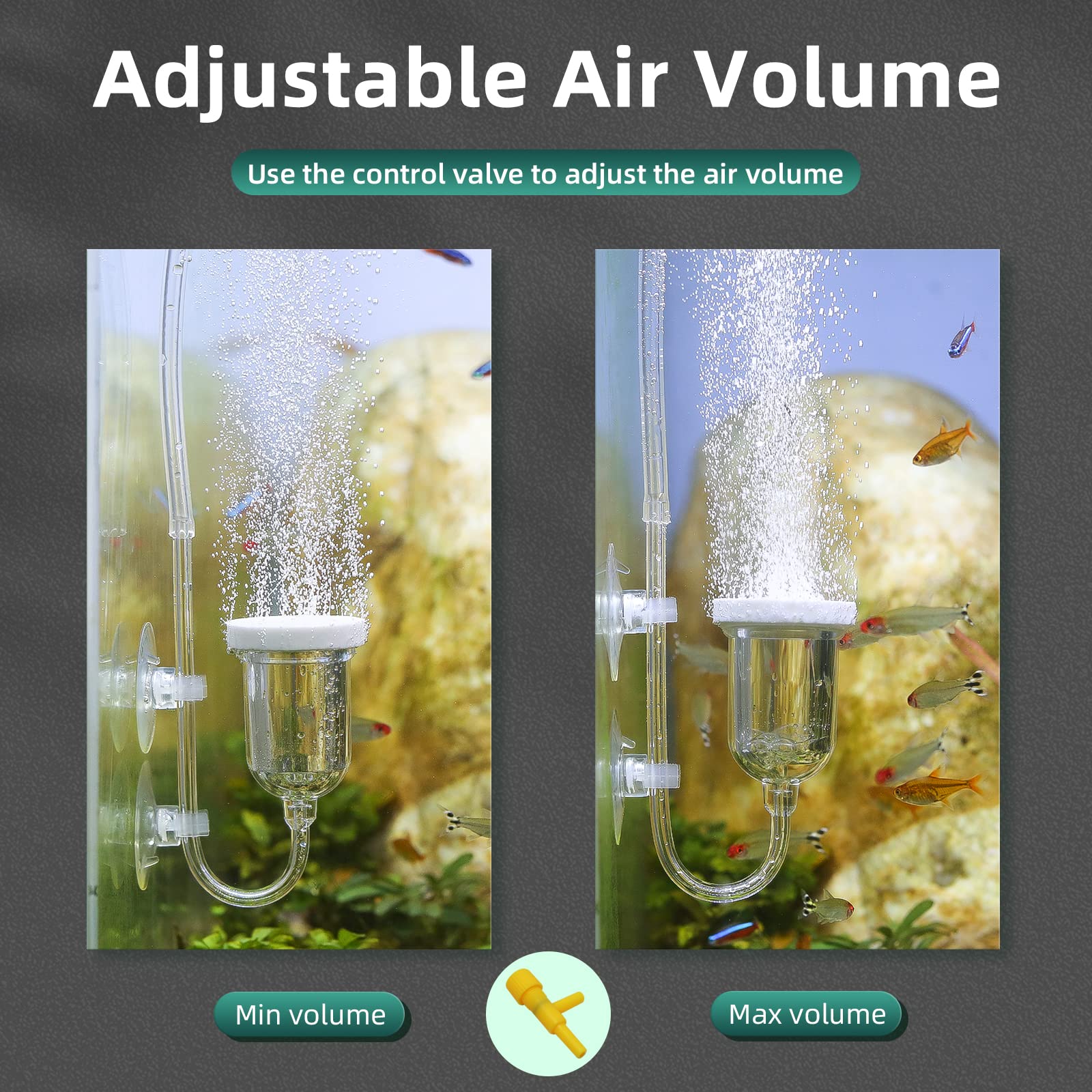 Boxtech Aquarium Air Stone, Fish Tank Bubble Diffuser High Dissolved Oxygen Airstones For Air Pump Accessoriess With 1 Check Valve, 2 Suction Cup For Aquarium Pond Hydroponic