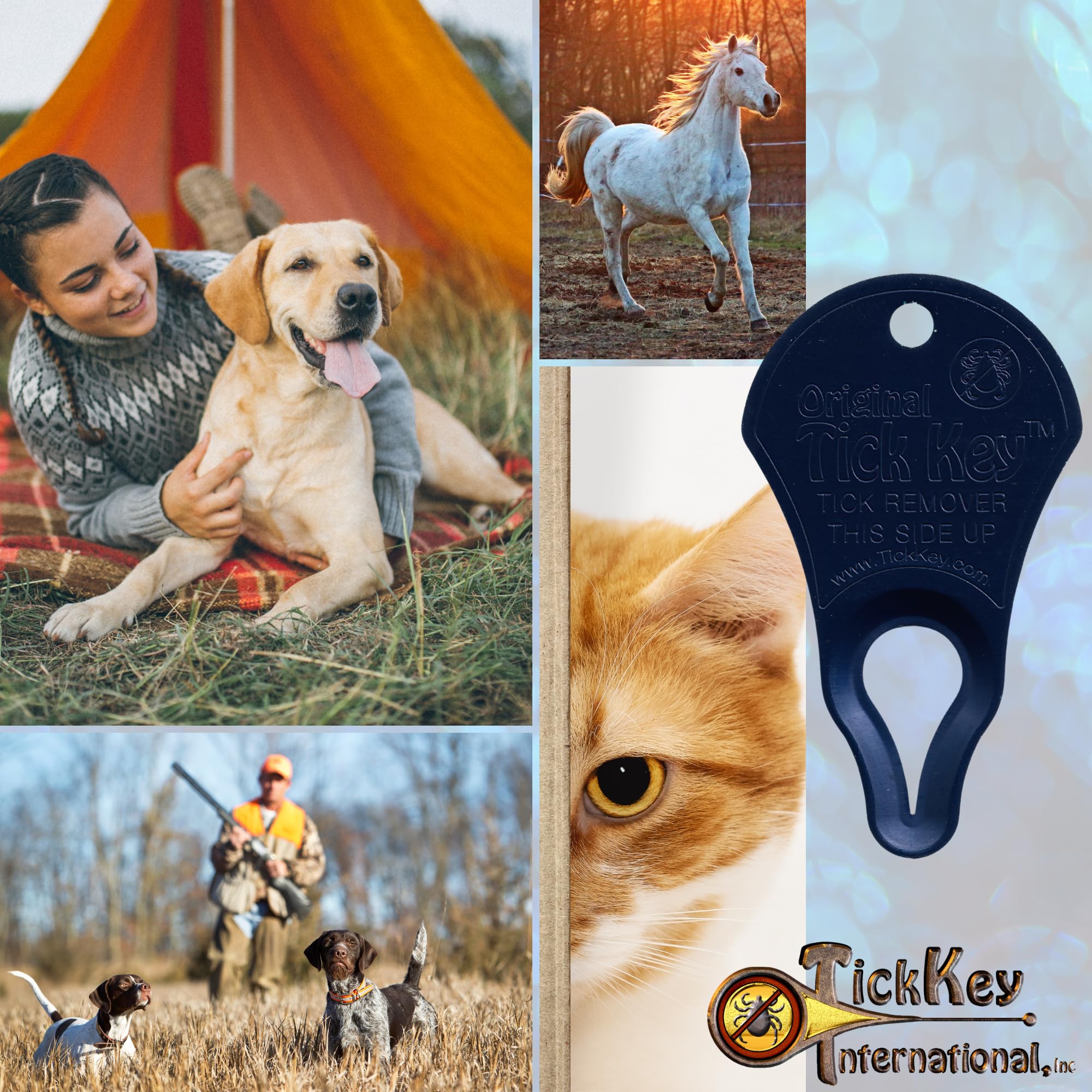 The Original Tick Key - Tick Detaching Device - Portable, Safe And Highly Effective Tick Detaching Tool (Navy)
