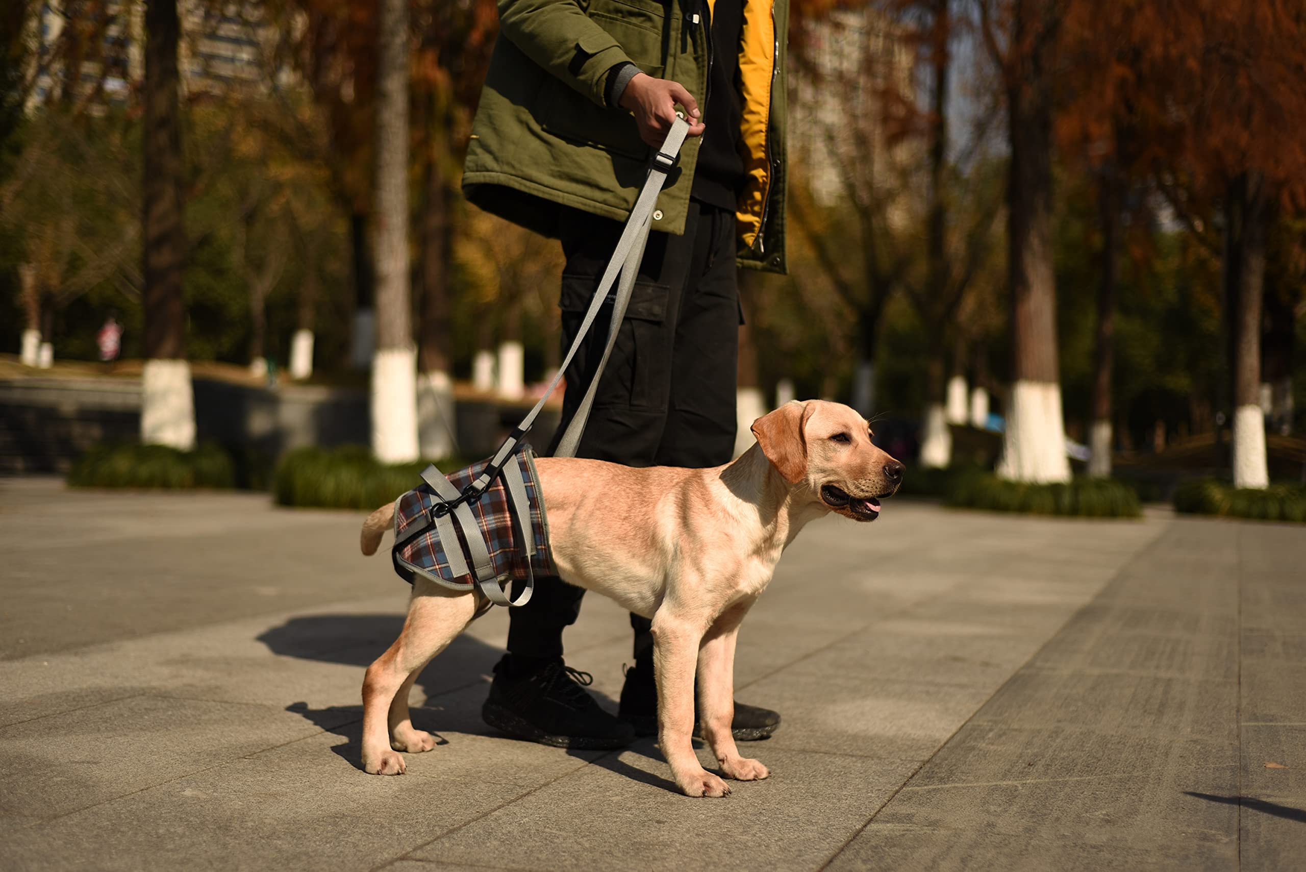 Rozkitch Dog Lift Harness, Grid Pet Rear Support Aid Veterinarian Approved Sling For Old K9 Help With Poor Stability, Back Leg H