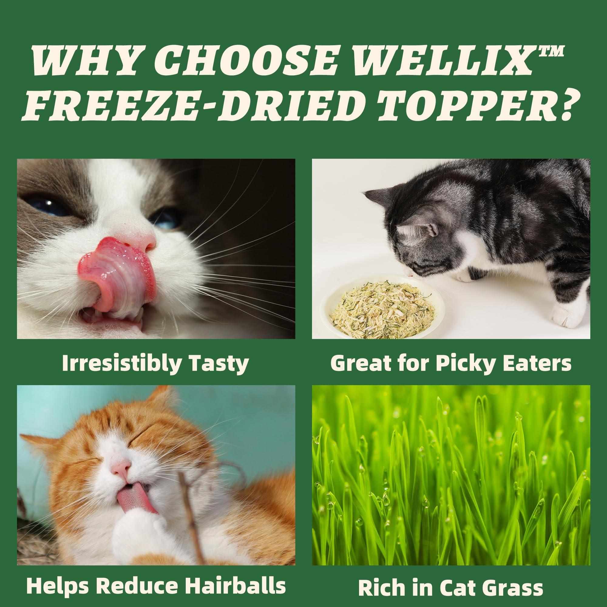 Wellix Dog & Cat Food Topper - Cat Grass Treats Freeze Dried Egg Yolk&Chicken Flavor Low Calorie - Hairball Control and Gut Heal