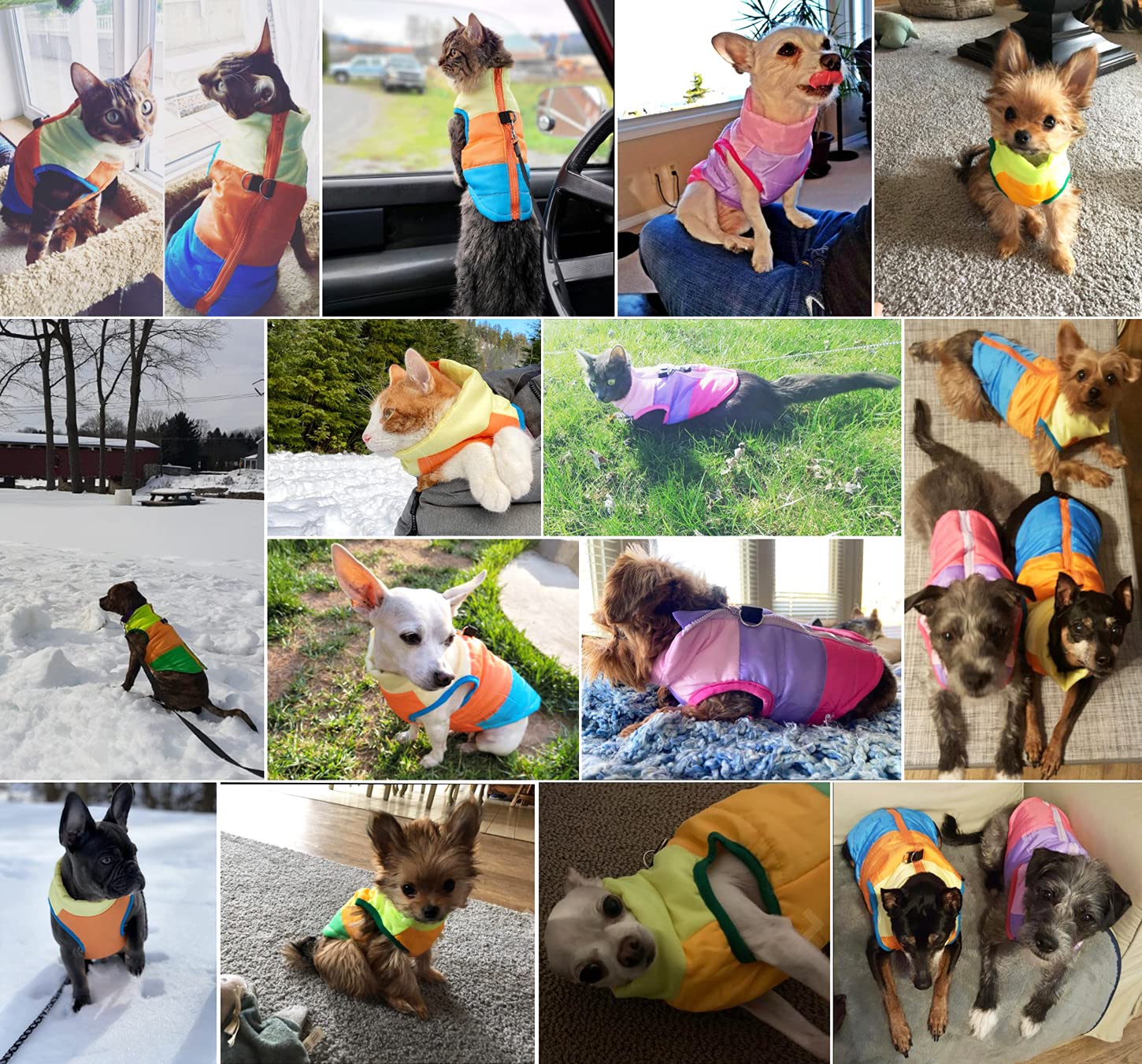 Idepet Pet Dog Cat Coat With Leash Anchor Color Patchwork Padded Puppy Vest Jacket Teddy Chihuahua Costumes Pug Cloth Xs S M L (