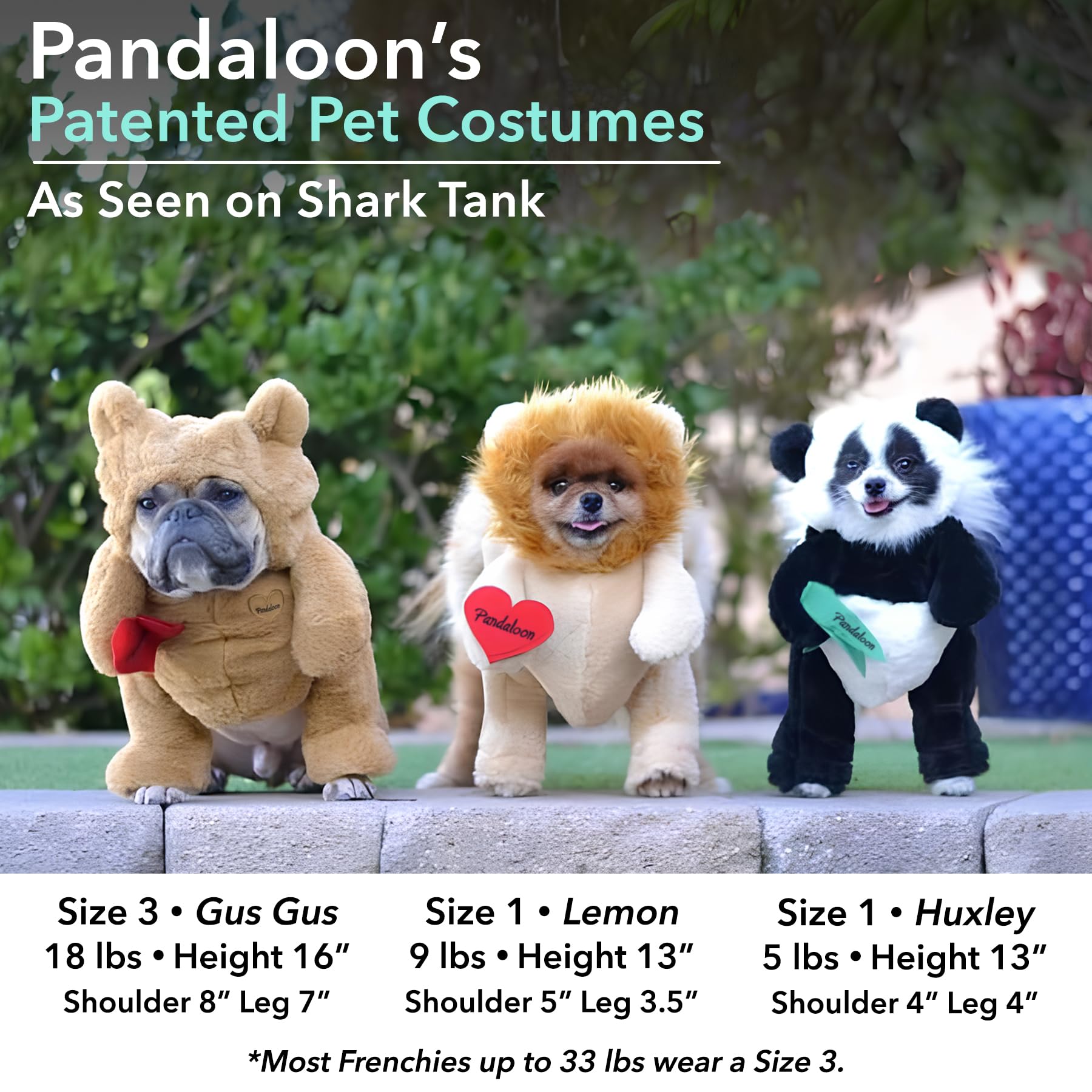 Pandaloon Polar Bear Dog Halloween Costumes For Small Dogs - As Seen On Shark Tank - Walking White Bear With Arms (Size 1 (13-14 In Total Height))