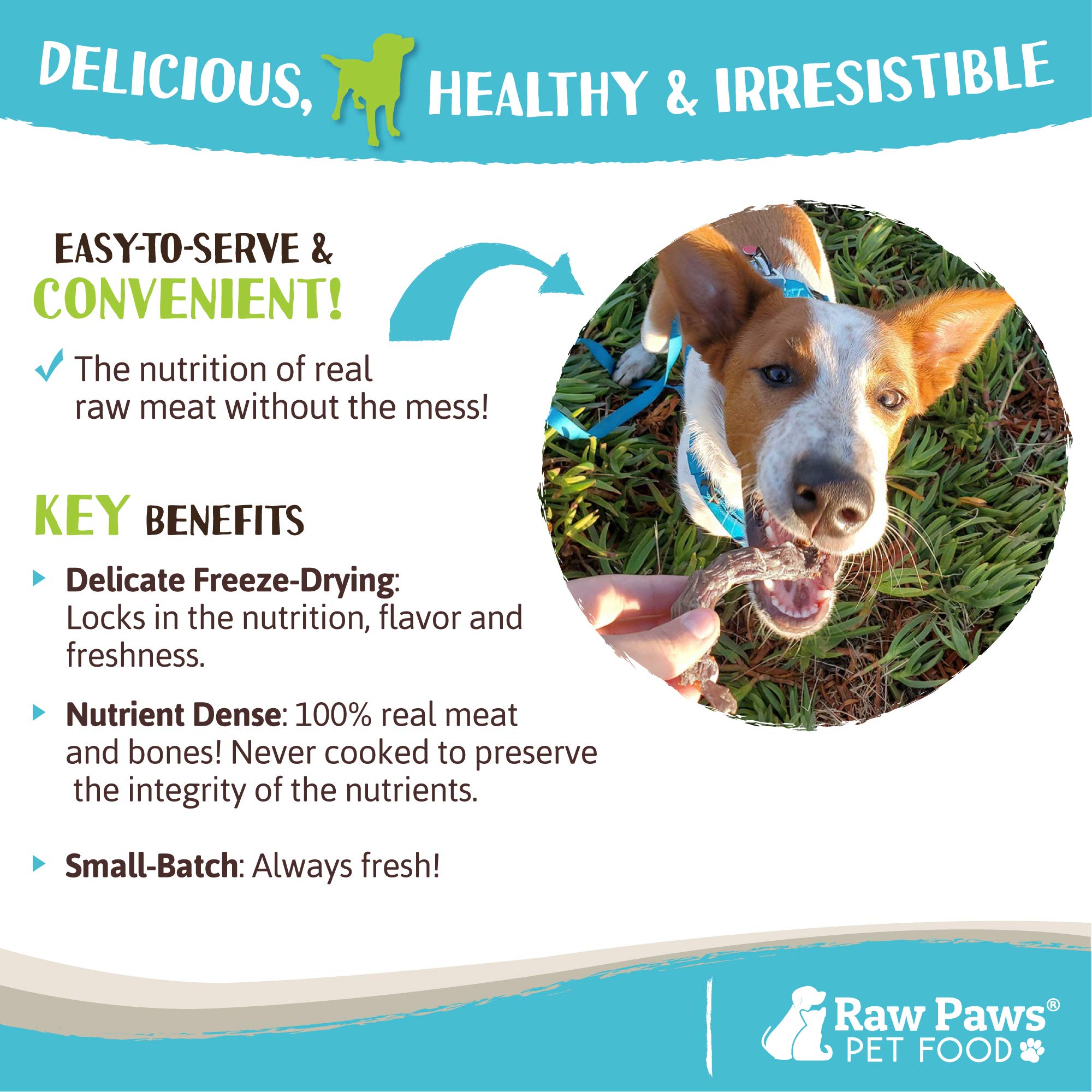 Raw Paws Freeze-Dried Chicken Necks for Dogs & Cats (4-Ounce) - Made in USA - Raw Freeze Dried Dog Treats - Chicken Necks for Ca