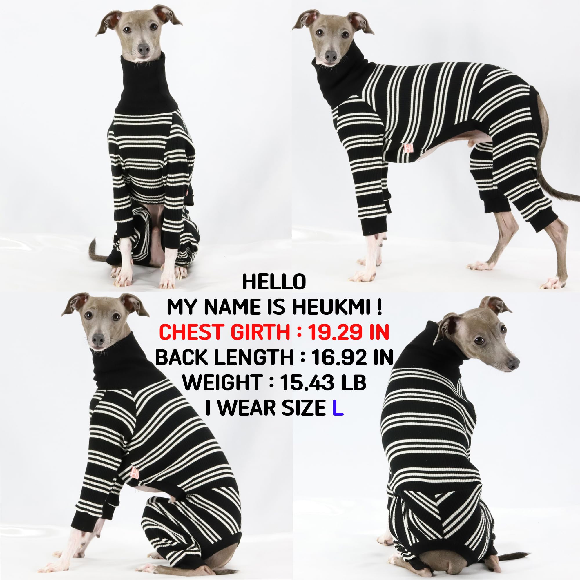 D Doggy Star Italian Greyhound Clothes Soft Stretchy Onesie Refined Stripe Outfit Whippet For Dog Coat (3Xl,Onsi Ivory Str)
