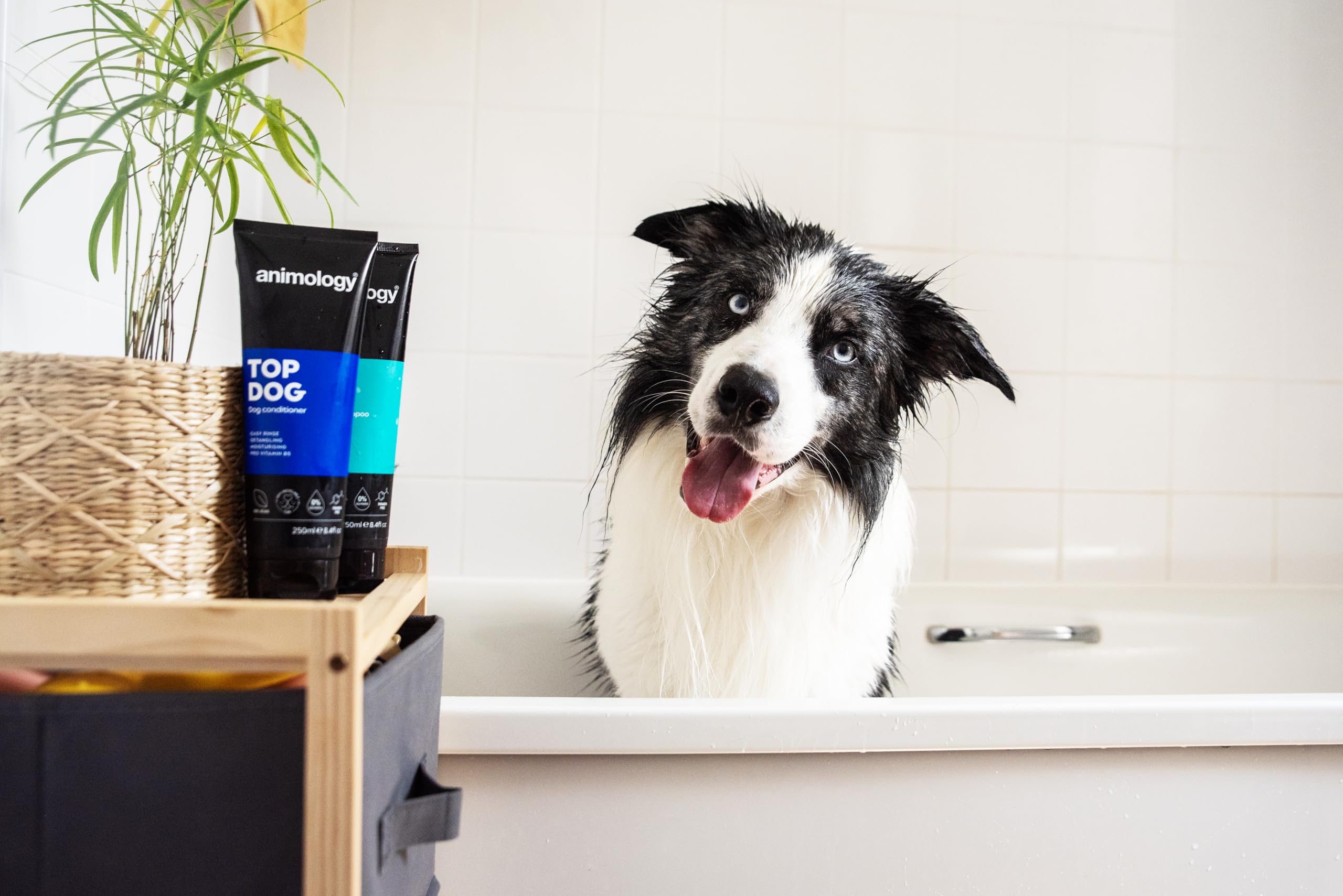 Animology Top Dog Conditioner 250Ml