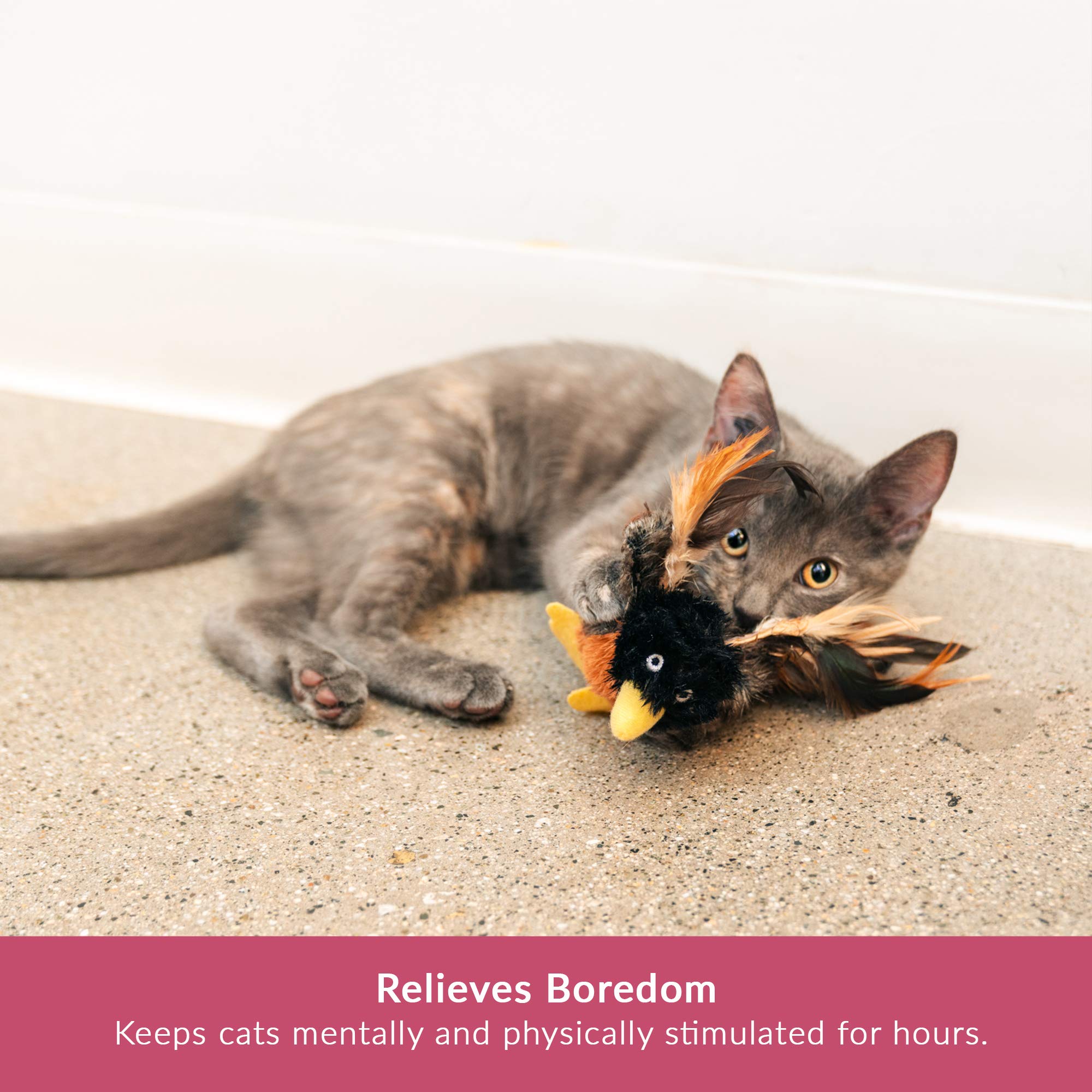 Pet Craft Supply Kitty Condor Crazy Catnip, Funny Cuddling Chasing Hunting Irresistible Stimulating Soft Plush Boredom Relief Interactive Cat Toy With Realistic Feathers, All Breed Sizes (Pack Of 2)