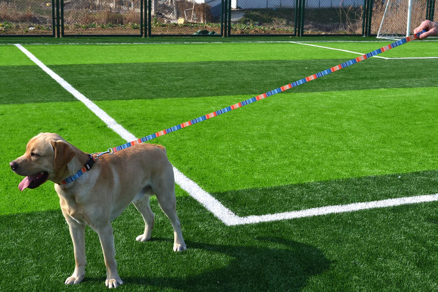 Mihqy Dog Collar And Leash Set With Bohemia Floral Tribal Geometric Patterns - Soft Ethnic Style Collar Adjustable For Small Medium Large Dogs(Bohemian Orange Set,L)