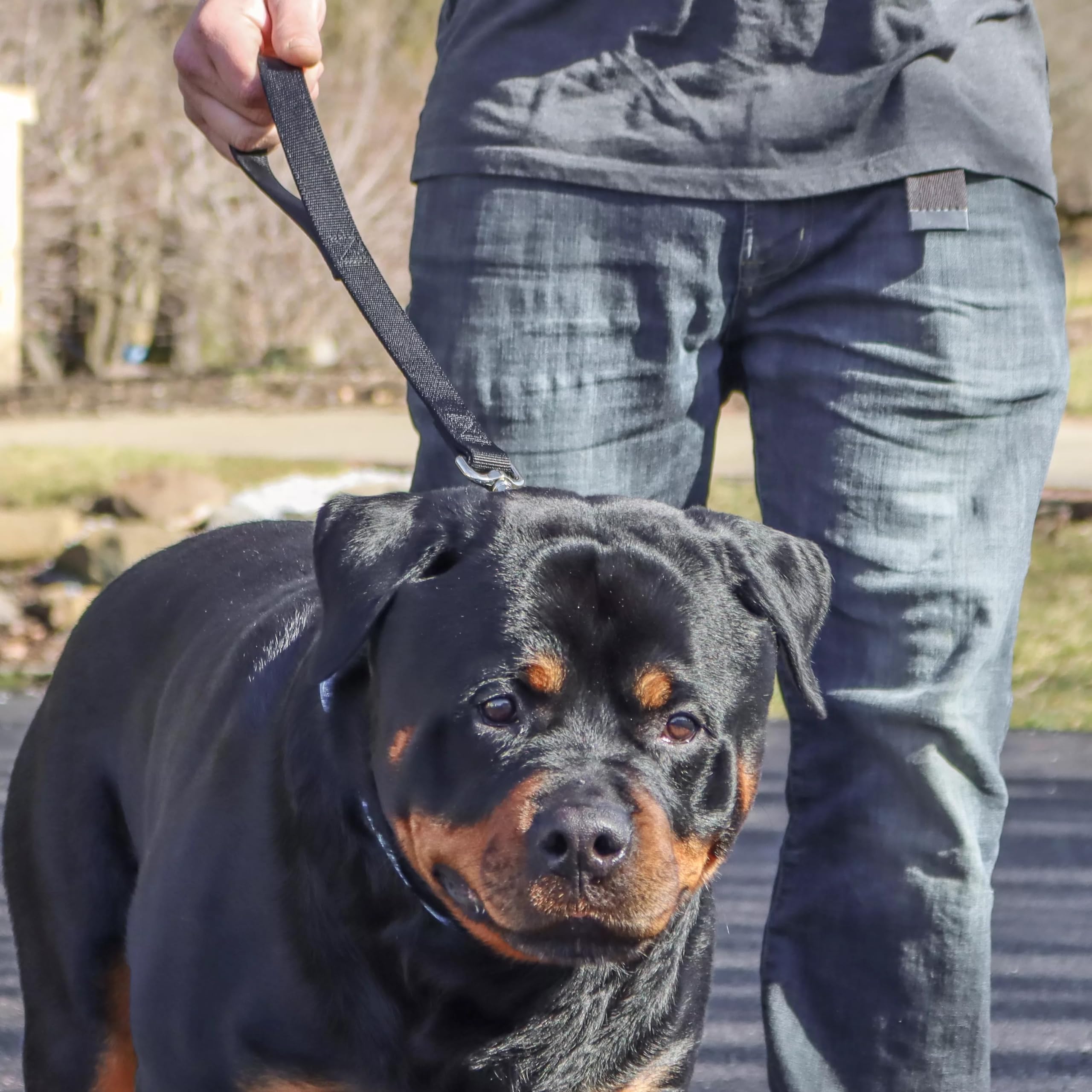 Coastal Pet Double-Ply Dog Traffic Leash - Durable And Short Traffic Leash For Training Dogs - Perfect For Vet Visit - Black, 1' X 24'