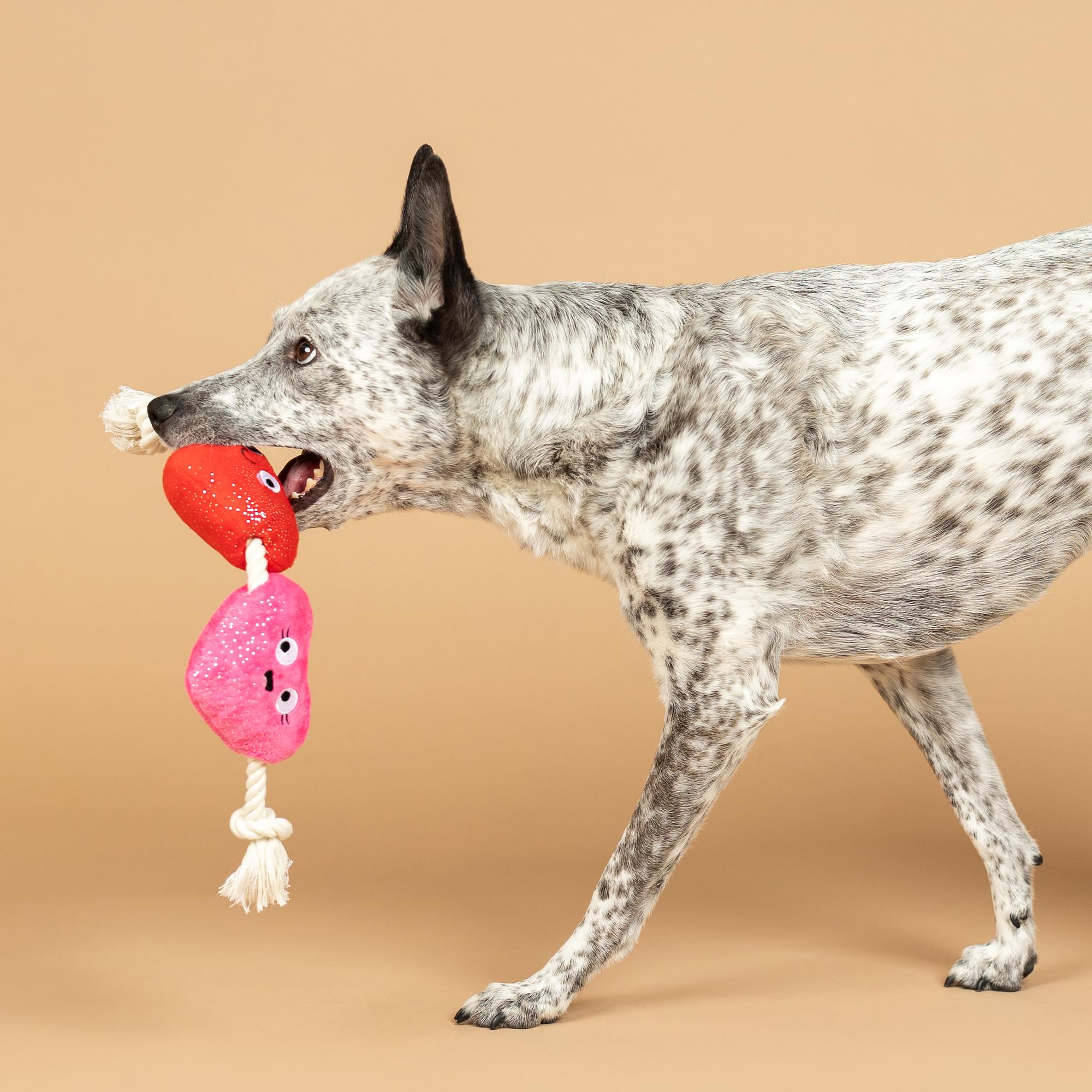 Fringe Studio Plush Dog Toy With Rope, Cant Be Ap-Heart, Petshop Collection (314494)