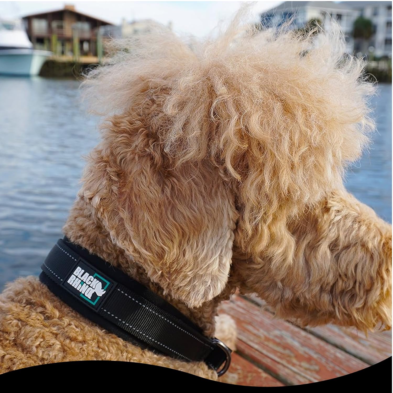 Black Rhino - The Comfort Collar Ultra Soft Neoprene Padded Dog Collar For All Breeds - Heavy Duty Adjustable Reflective Weatherproof (Large, Black)