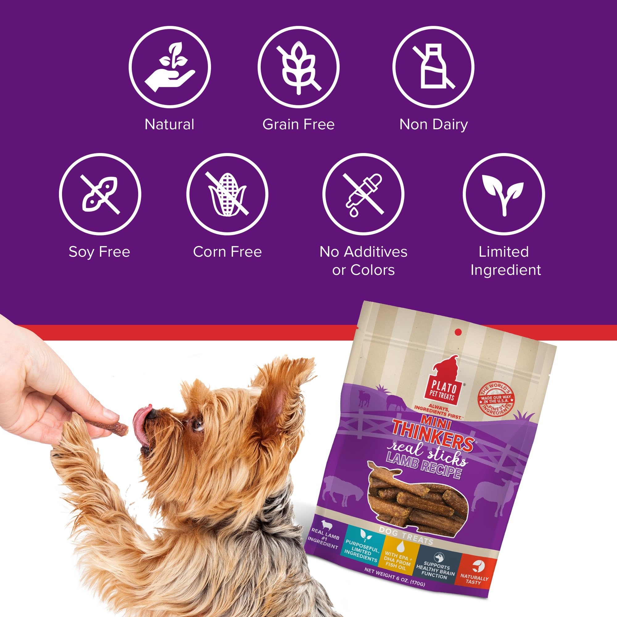 Plato Pet Treats Air Dried Dog Treats Lamb Mini Thinkers Sticks, Natural Dog Treats, Real Meat, Air Dried, Made in the USA, 6oz