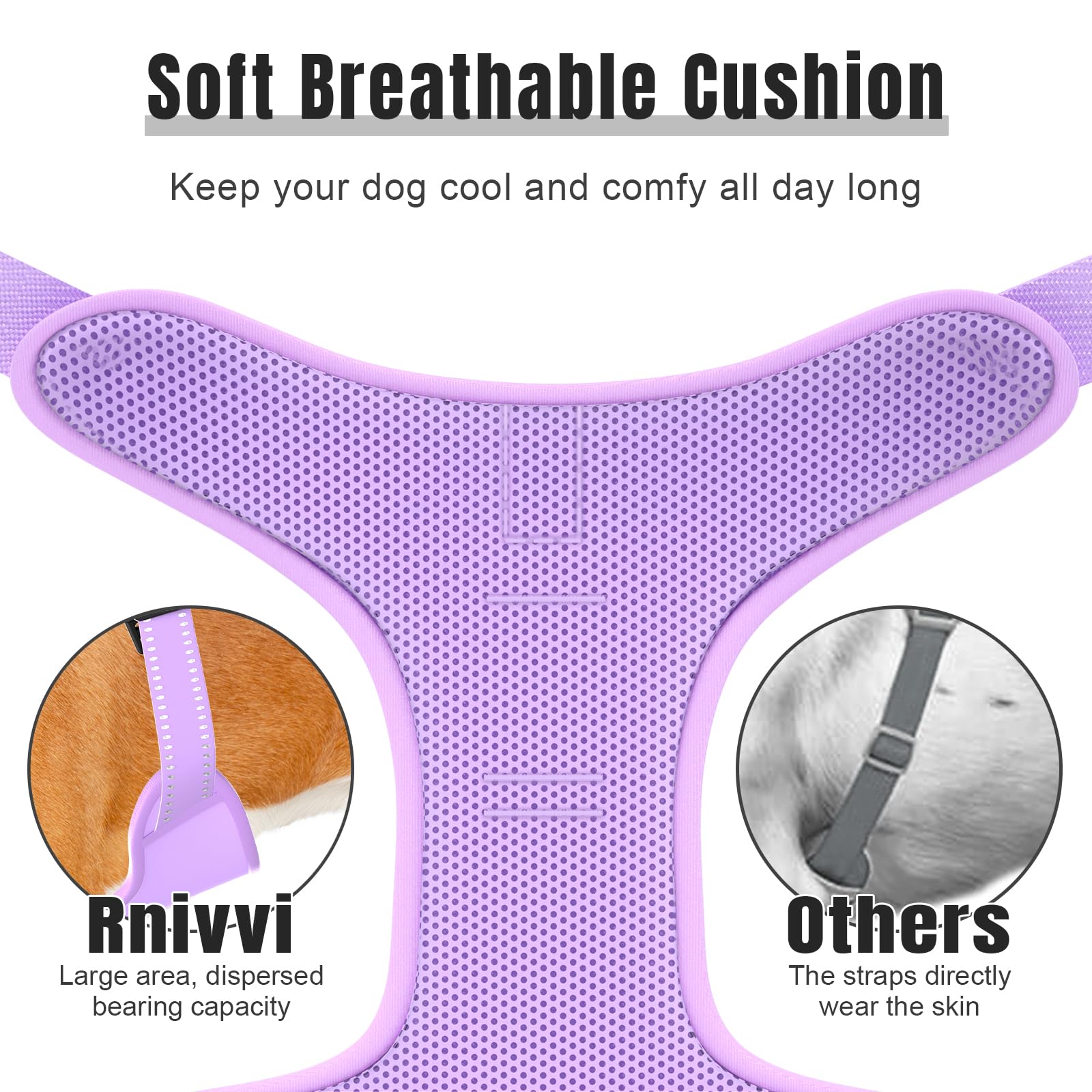 Rnivvi No Pull Dog Harness, Cute Reflective Medium Sized Puppy Kitten Harness, Adjustable Soft Padded Vest for Medium Dogs, Heav