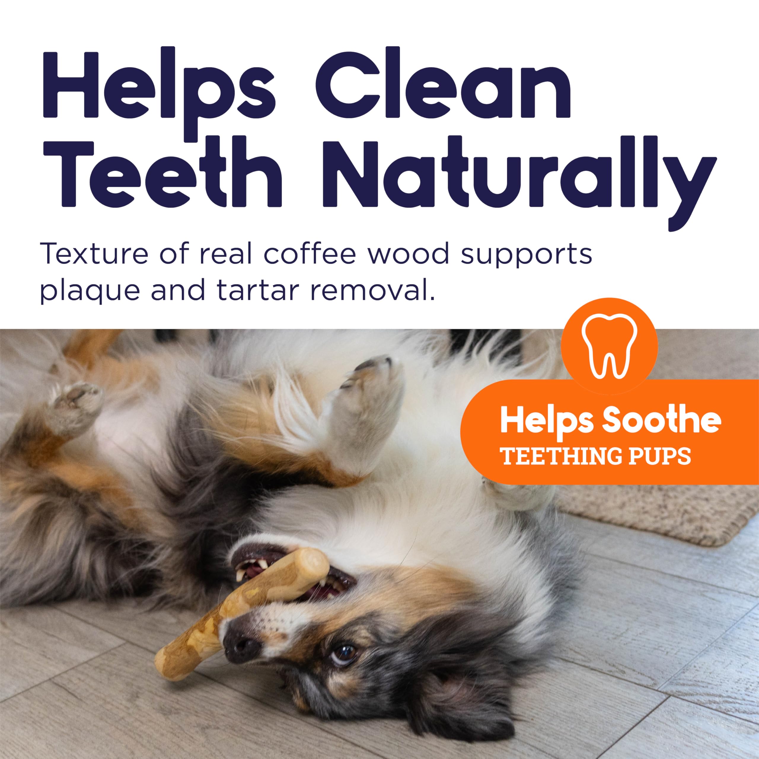Petstages Coffee Wood Dog Chew Stick - Medium Natural Wood Toy for Light to Moderate Chewers, Sustainably Sourced