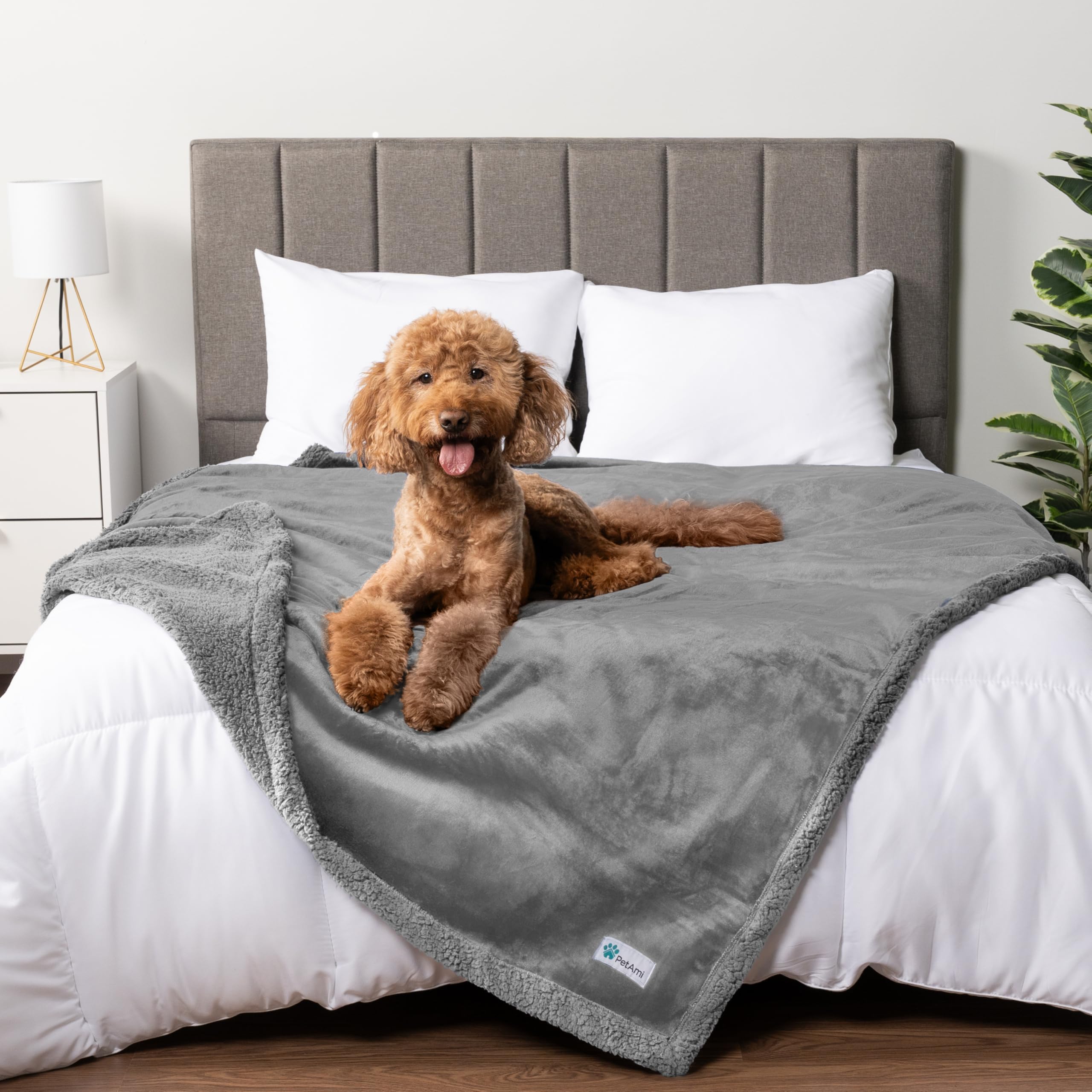 Petami Waterproof Dog Blanket For Bed, Xl Dog Pet Blanket Couch Cover Protection, Sherpa Fleece Leakproof Bed Blanket For Crate Kennel Sofa Furniture Protector, Reversible Soft Plush 80X60 Light Gray