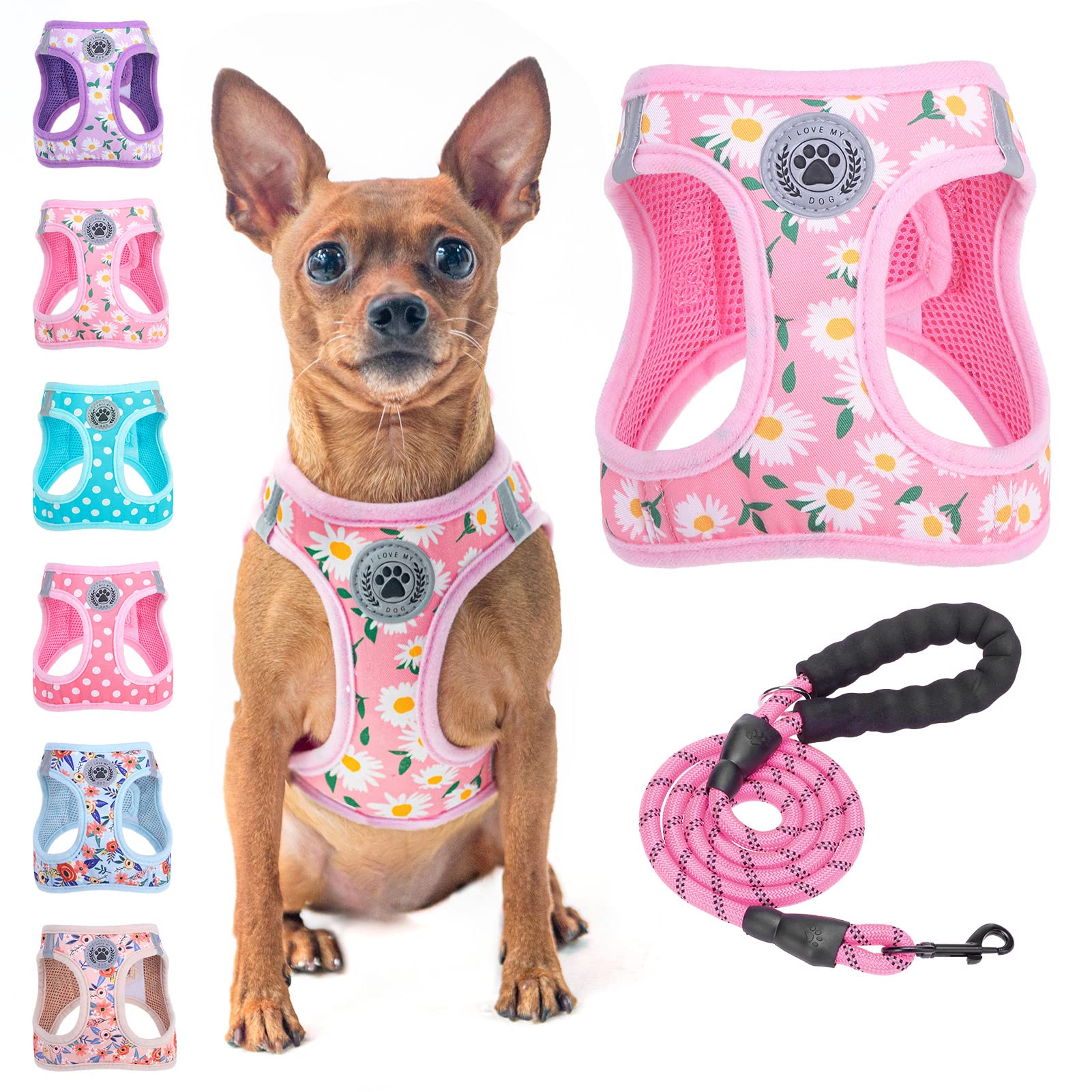 Beautyzoo Step In Dog Harness And Leash Set, Floral Pattern Reflective Dog Harness No Pull No Choke Puppy Harness For Xxs Xs S D