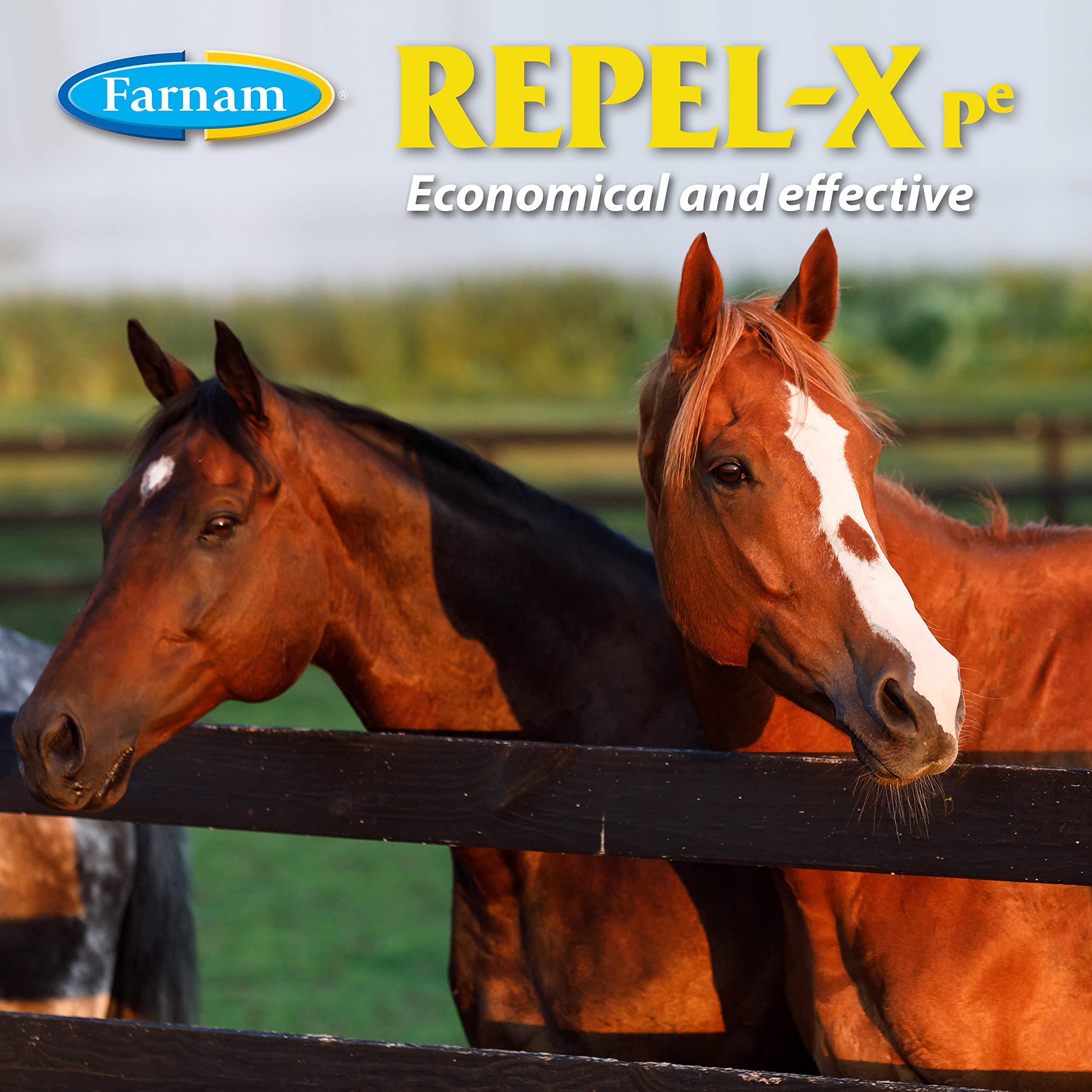 Farnam Repel-X Ready-To-Use Fly Spray, Insecticide And Repellent For Horses And Dogs, 32 Fluid Ounces, 1 Quart Bottle With Trigg