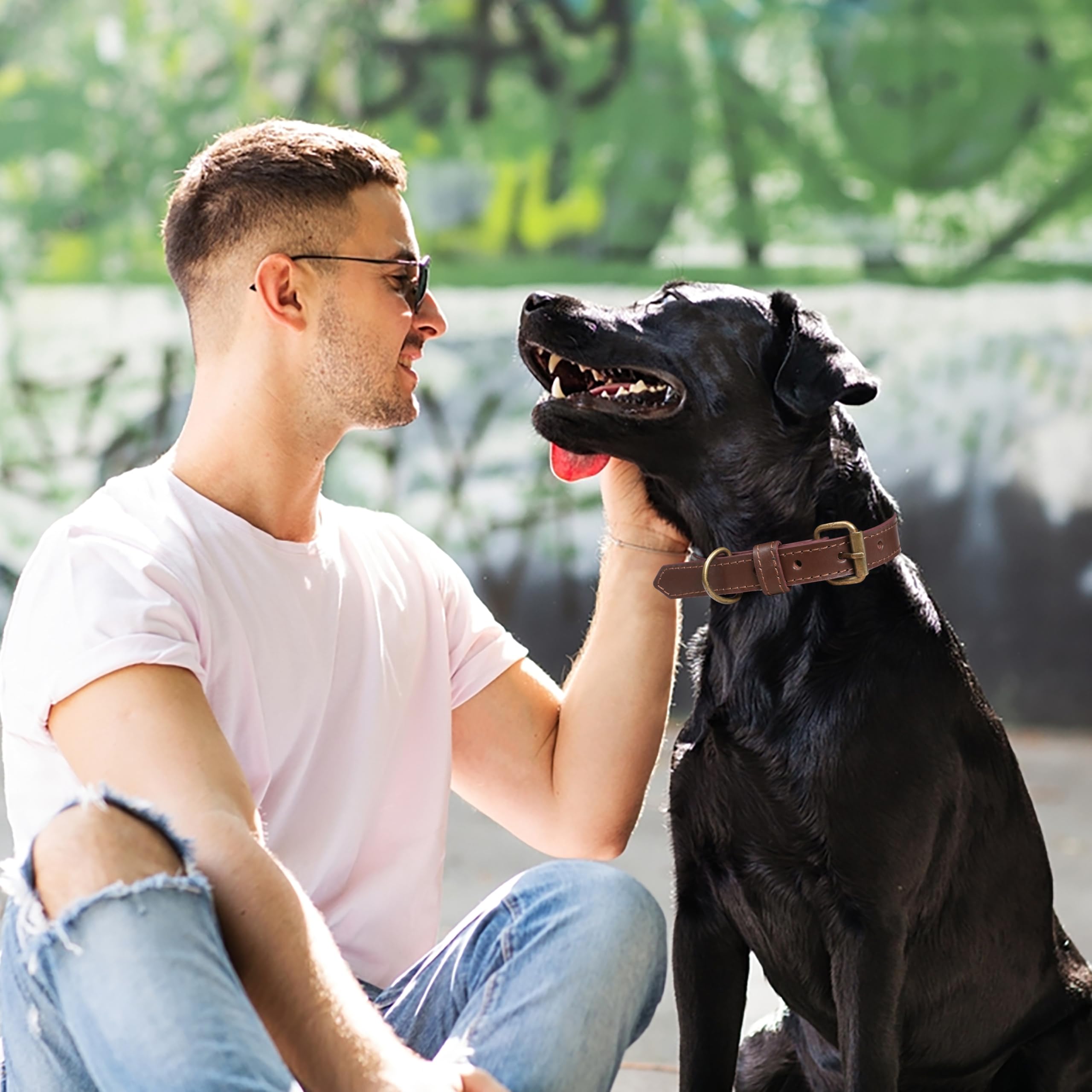 Dog Leash And Collar Set With Metal Buckle, Heavy Duty Leather And Nylon Combo, Adjustable And Durable Pet Walking Gear, 24 Inch