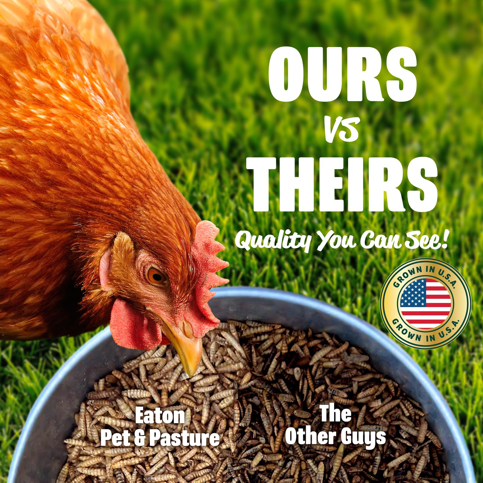Eaton Pet and Pasture Premium Grubs, USA Grown Dried Black Soldier Fly Larvae, High Calcium Treat for Chickens, Ducks, Wild Bird