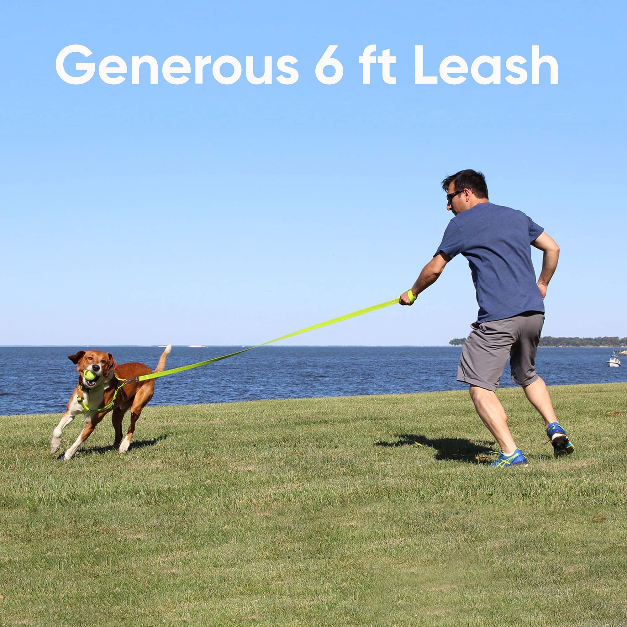 Pawtitas 6 FT Pet Puppy Leash - Reflective Dog Leash with Comfortable Handle & Heavy Duty Construction - Available in 6 ft Small