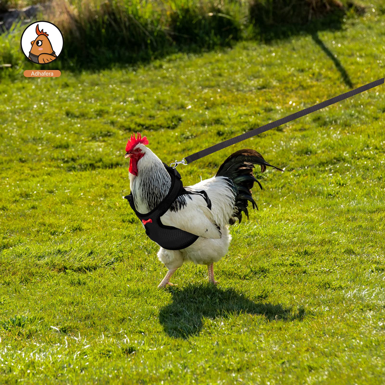 Adhafera Chicken Harness With Leash, Upgraded Double Adjustment Chicken Harness And Leash Set For Hens, Duck, Goose, Small Pet (Black, S)