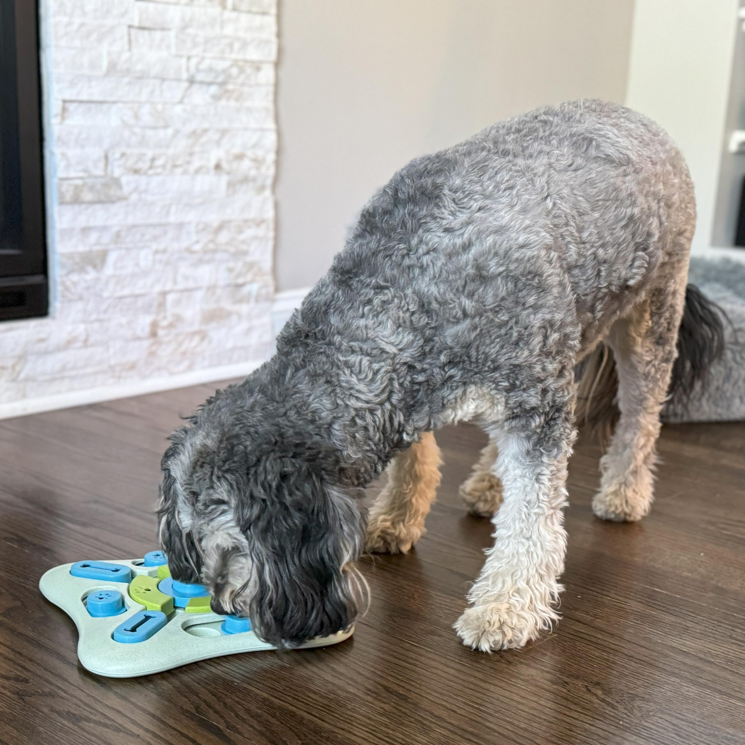 SPOT Seek A Treat Slide N Turn Puzzle -Interactive Dog Puzzle Toy for Small, Medium & Large Smart Dogs and Cats, Squeaky, Enric