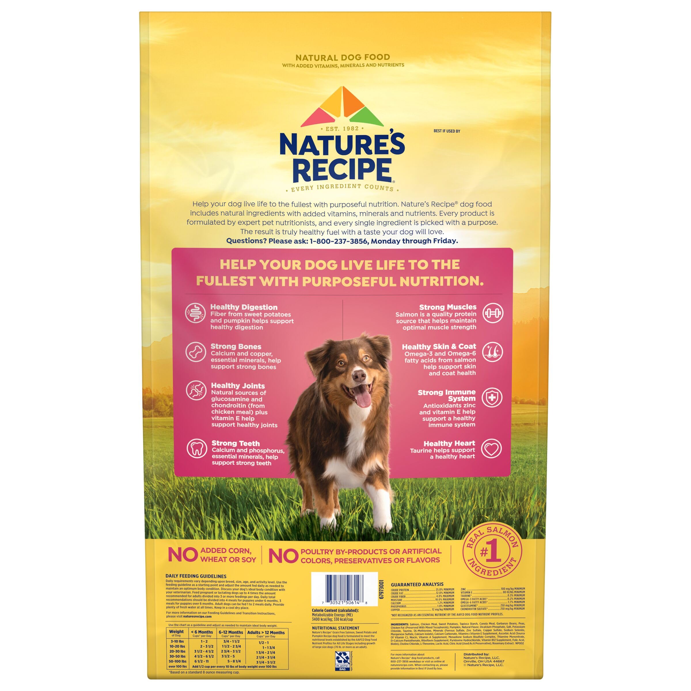 Natures Recipe Grain Free Salmon, Sweet Potato & Pumpkin Recipe Dry Dog Food, 24 lb. Bag