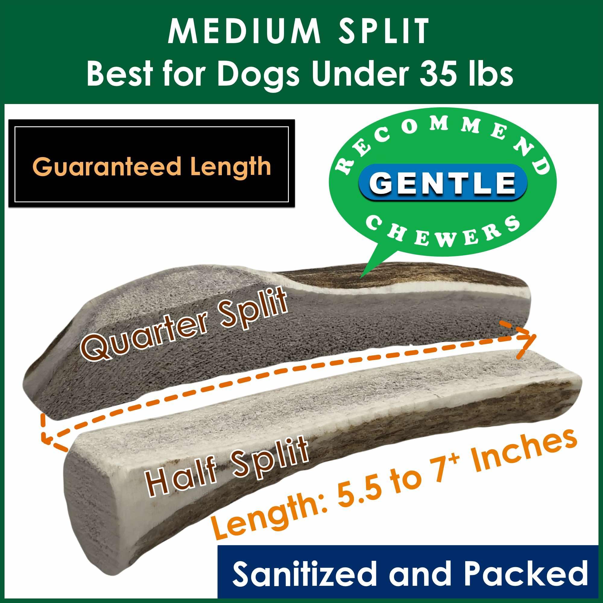 Deluxe Naturals 5-Pack Medium Split Elk Antler Dog Chews (5.5 to 7+ in) - All Natural, Premium Grade A, Odor-Free, USA-Sourced -