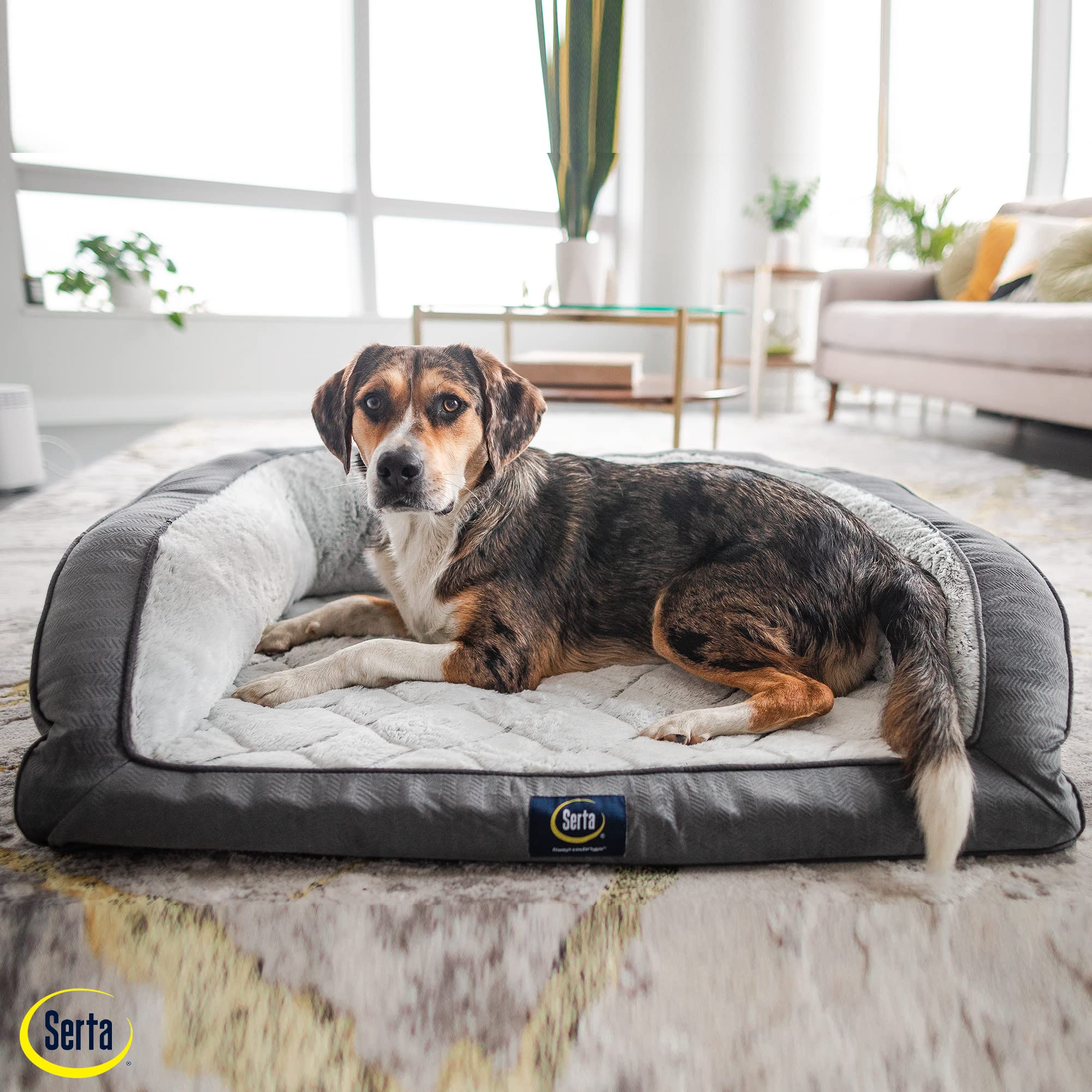 Serta Orthopedic Quilted Couch Dog Bed For Pets - Slate Gray (Small)