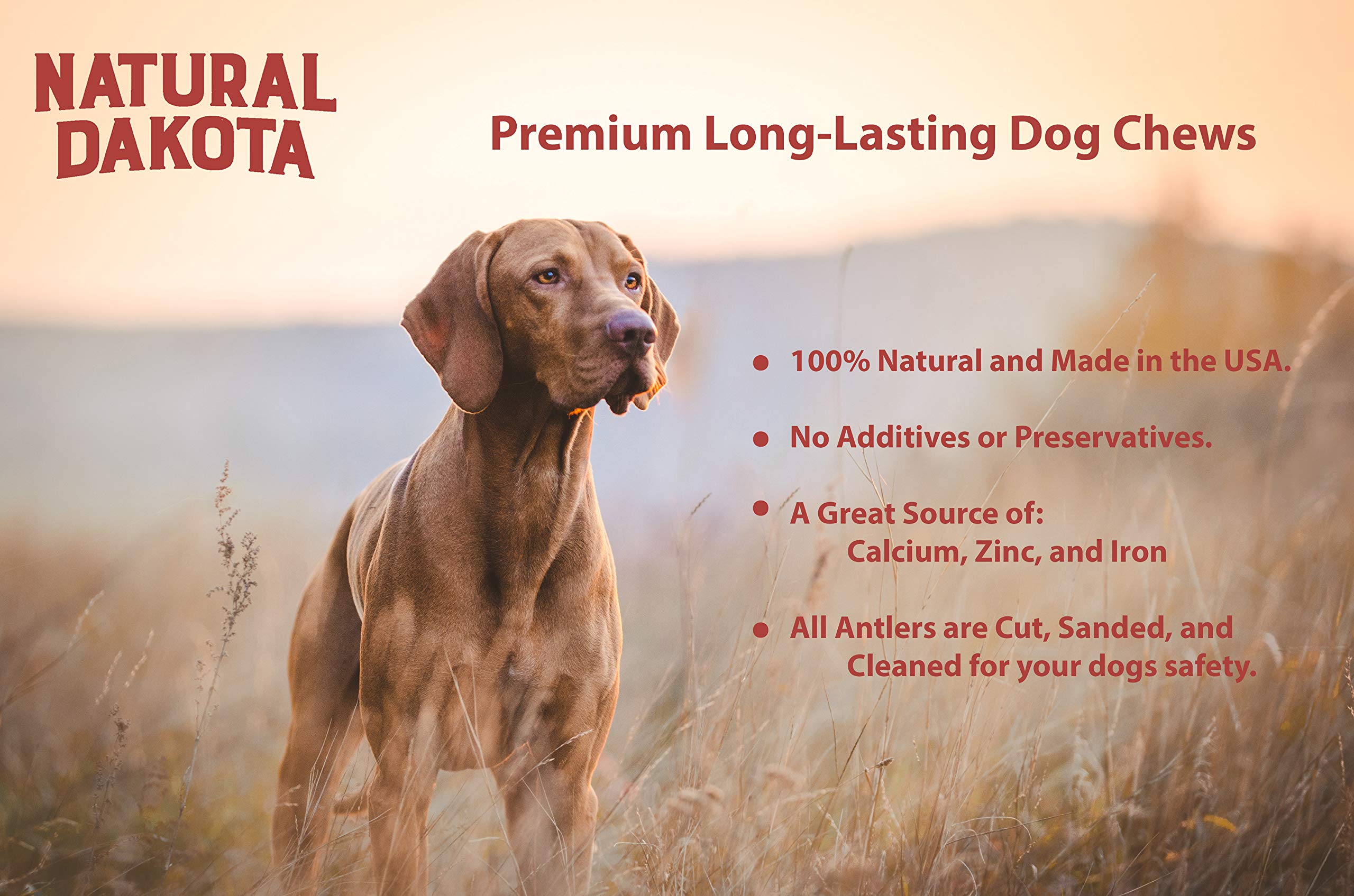 Natural Dakota Premium Deer Antler Chew Toys (X-Large) Magnum