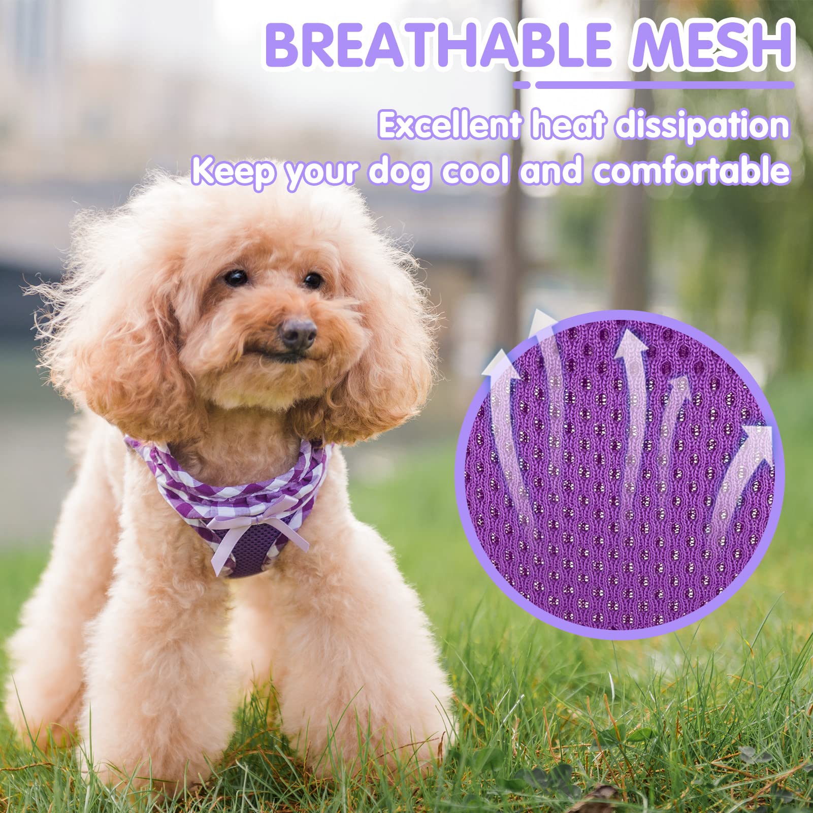 Pupteck Small Dog Harness No Pull Step-In Puppy Cat Harness Soft Mesh For Girls, Purple Xxs