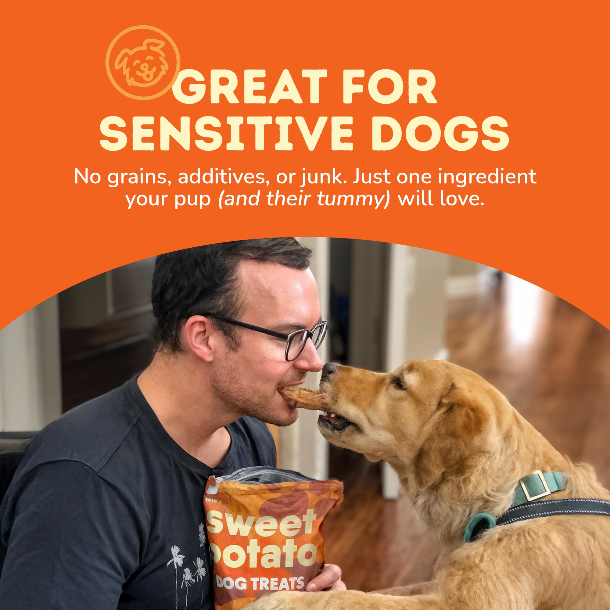 Davies Sweet Potato Dog Treats - Healthy Dog Chews, Low Fat, Made in USA, 1 lb Bag - Pack of 5