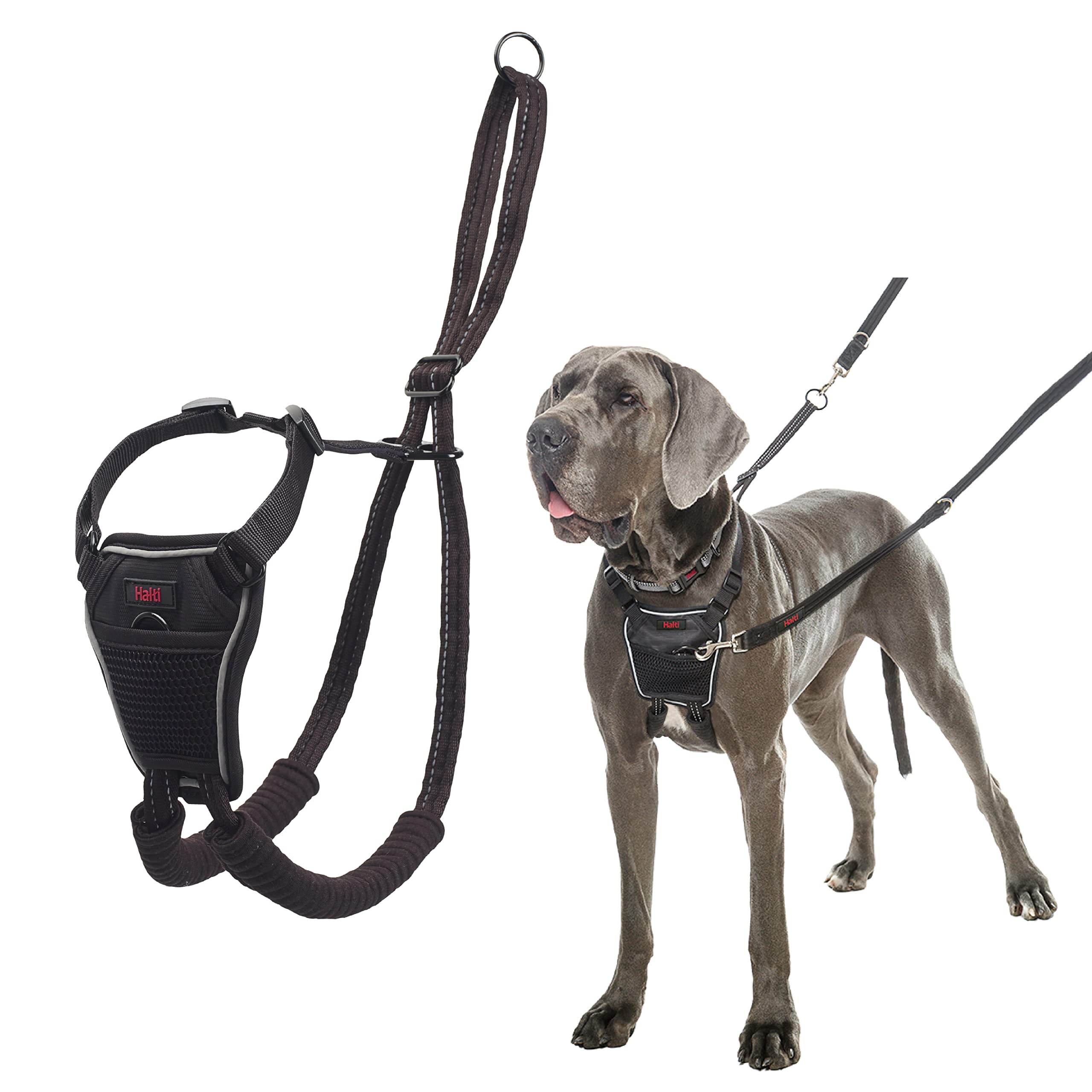 The Company Of Animals Dog Halti No Pull Harness Large