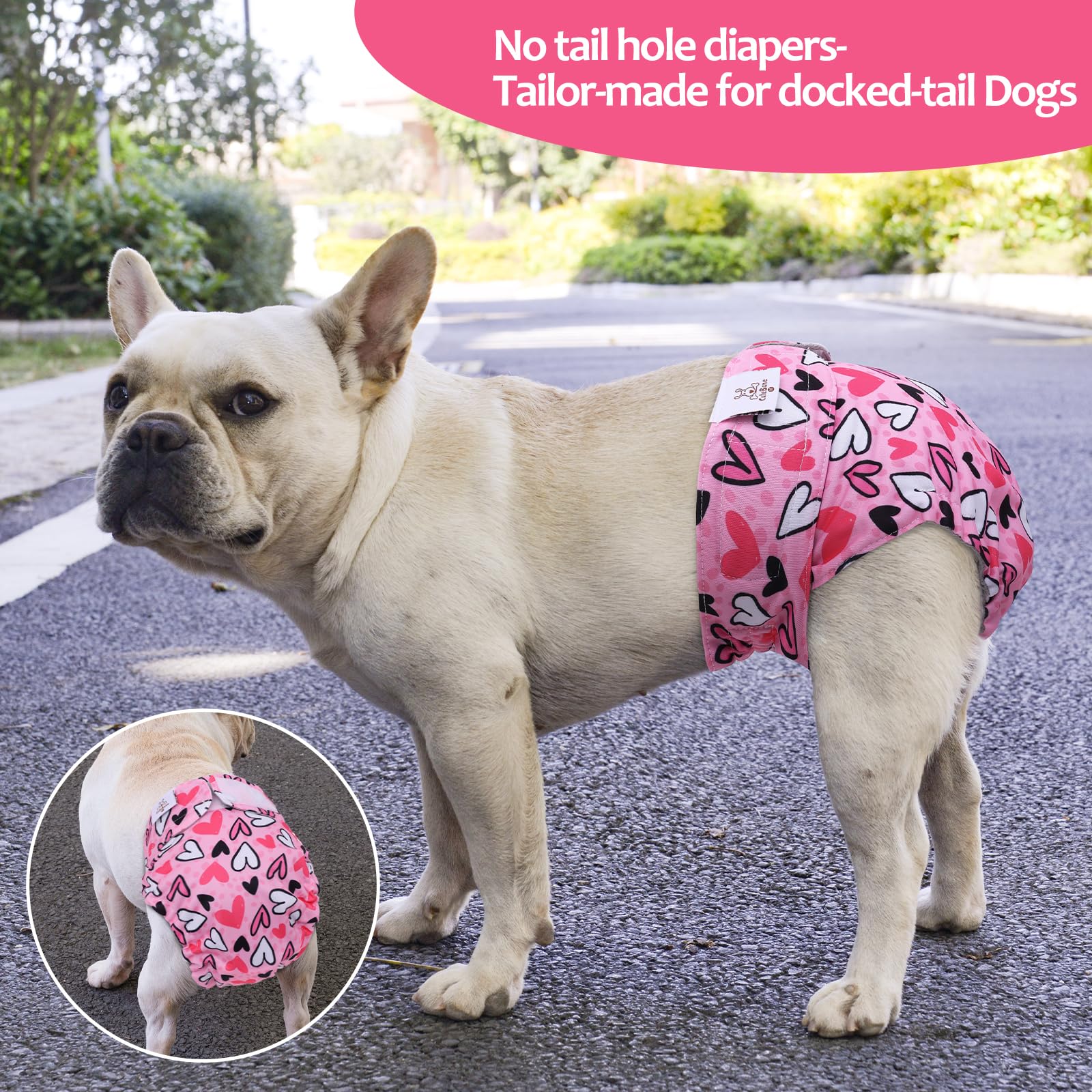 Cutebone Washable Dog Diapers Female No Tail Hole 3 Pack Reusable Doggie Period Training Pants Valentines For Docked-Tail French