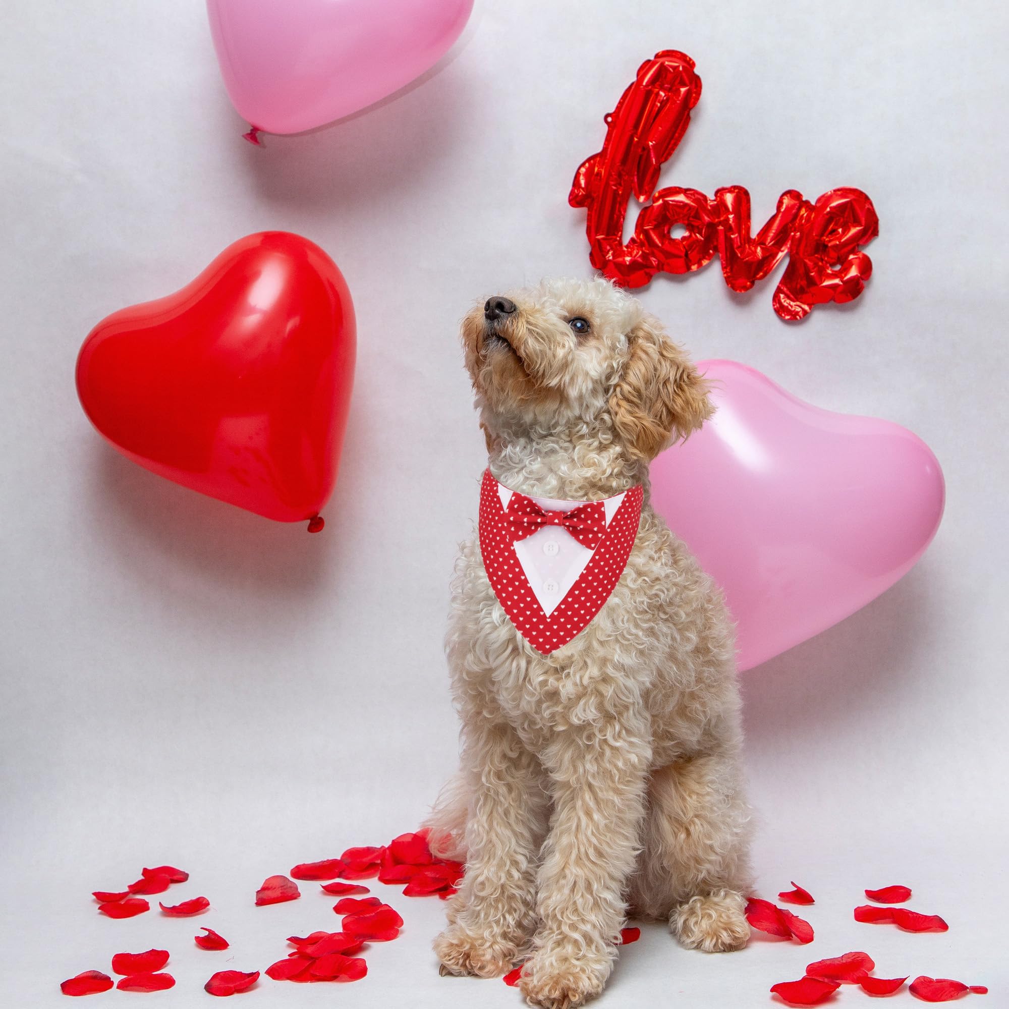 Adoggygo Valentine Dog Tuxedo Bandana, Red Heart Pet Tux With Bowtie Adjustable Valentine Costume For Small Dogs Pets (S)