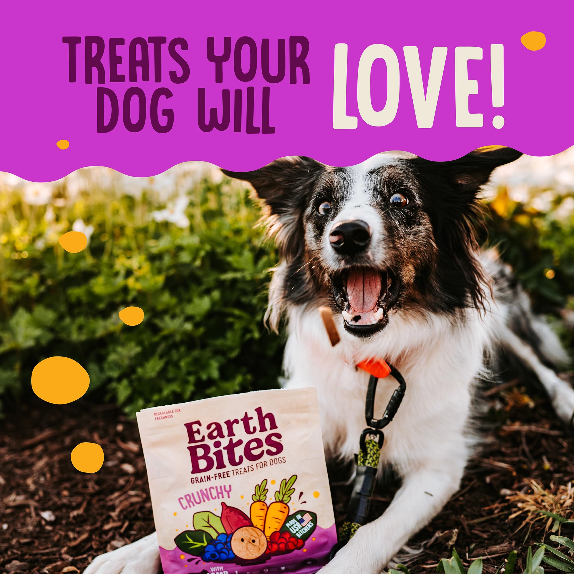 earthborn EarthBites Crunchy Grain Free Treats for Dogs (Lamb)