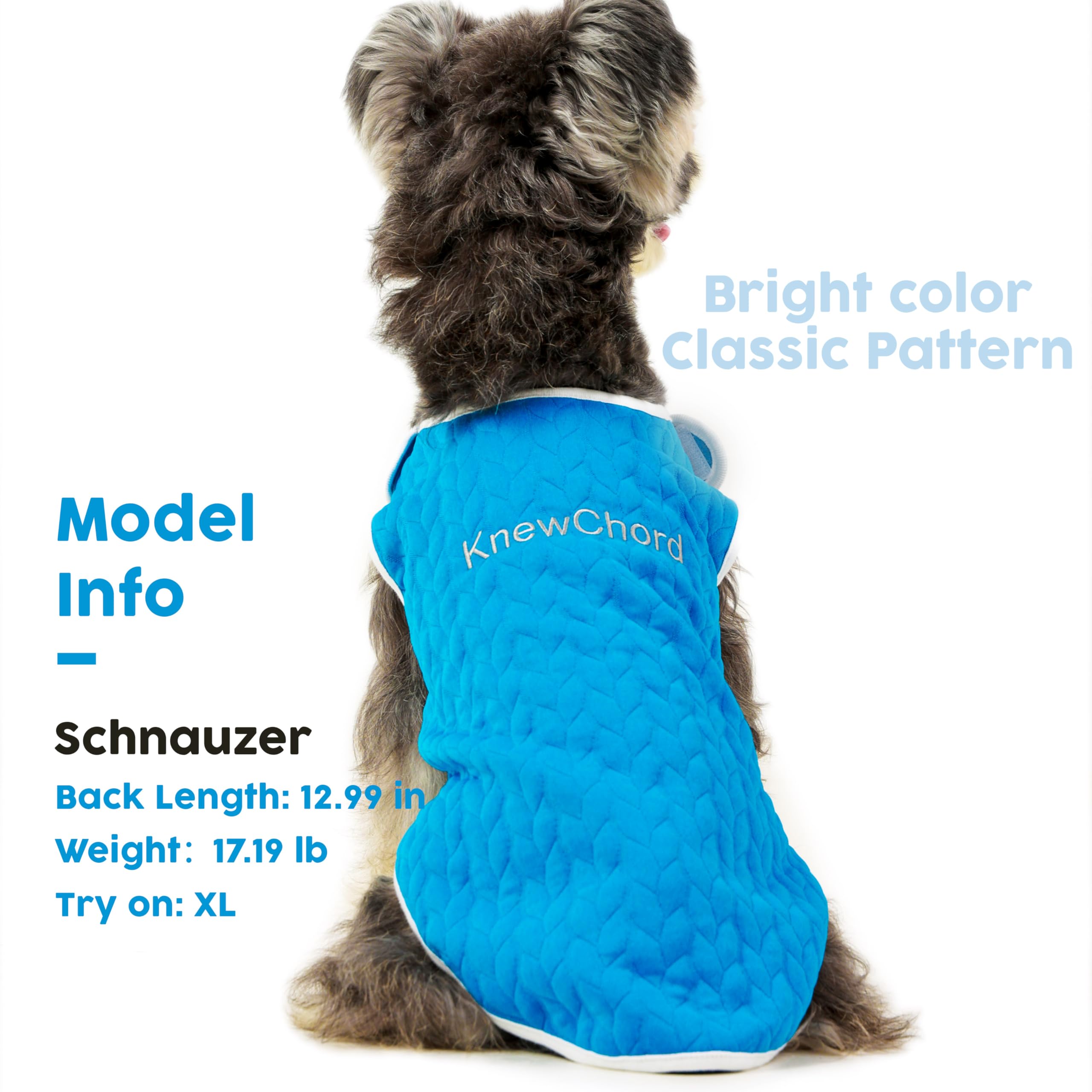 Knewchord Dog Shirts Soft Warm Cat Shirts Pet T-Shirt Puppy Dog Apparel Tee Tanks, Easy On And Off (Blue, Xxx-Large)