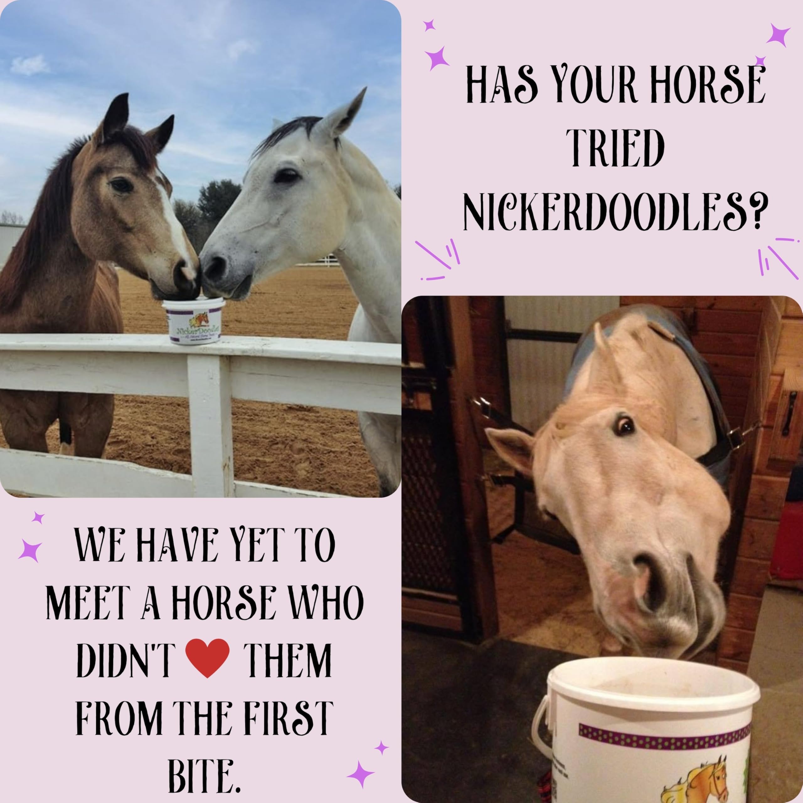 NickerDoodles Horse Treats - 2 lb Pail - Effortlessly Give Medications with Our Soft Baked Treats - Training Treats are The Perf