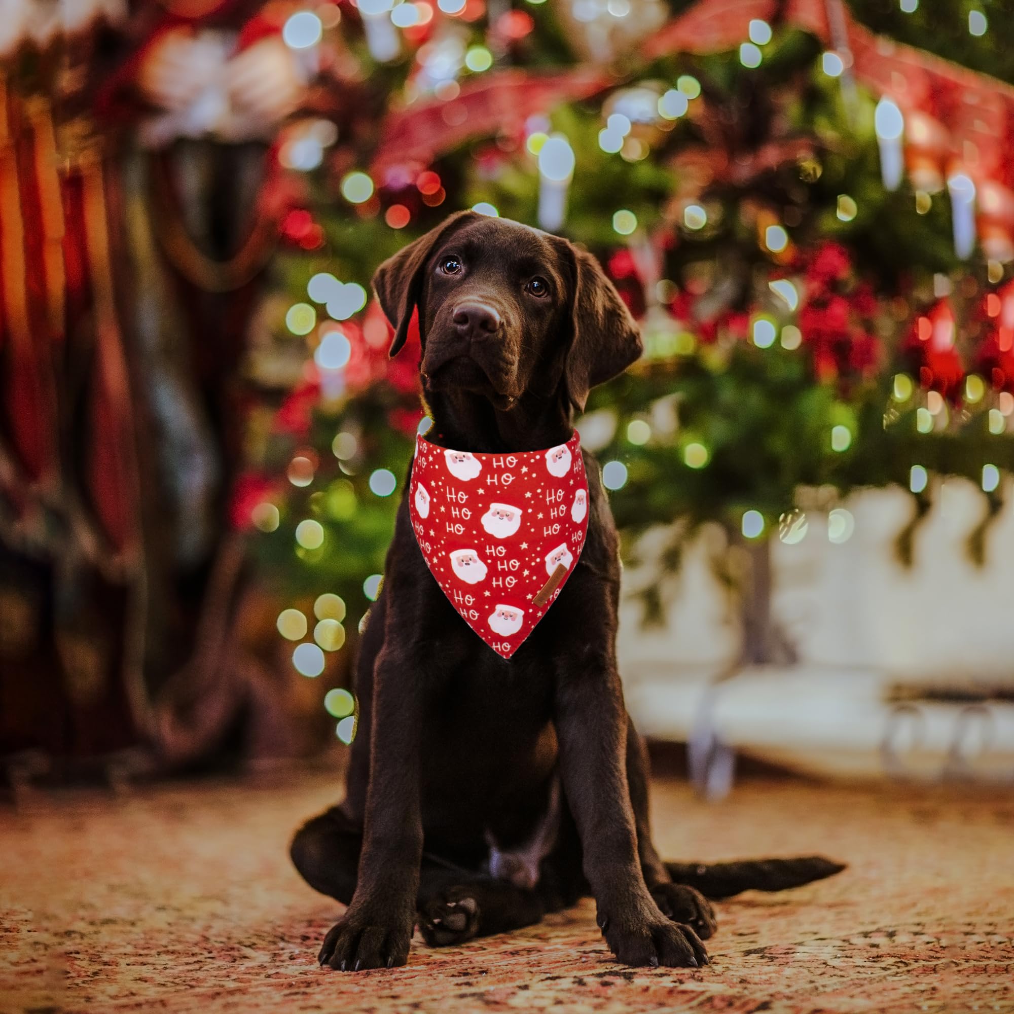 ADOGGYGO Christmas Dog Bandanas, Snowman Santa Xmas Pet Scarf, Multi Size Offered, Red Green Christmas Bandana for Medium Large