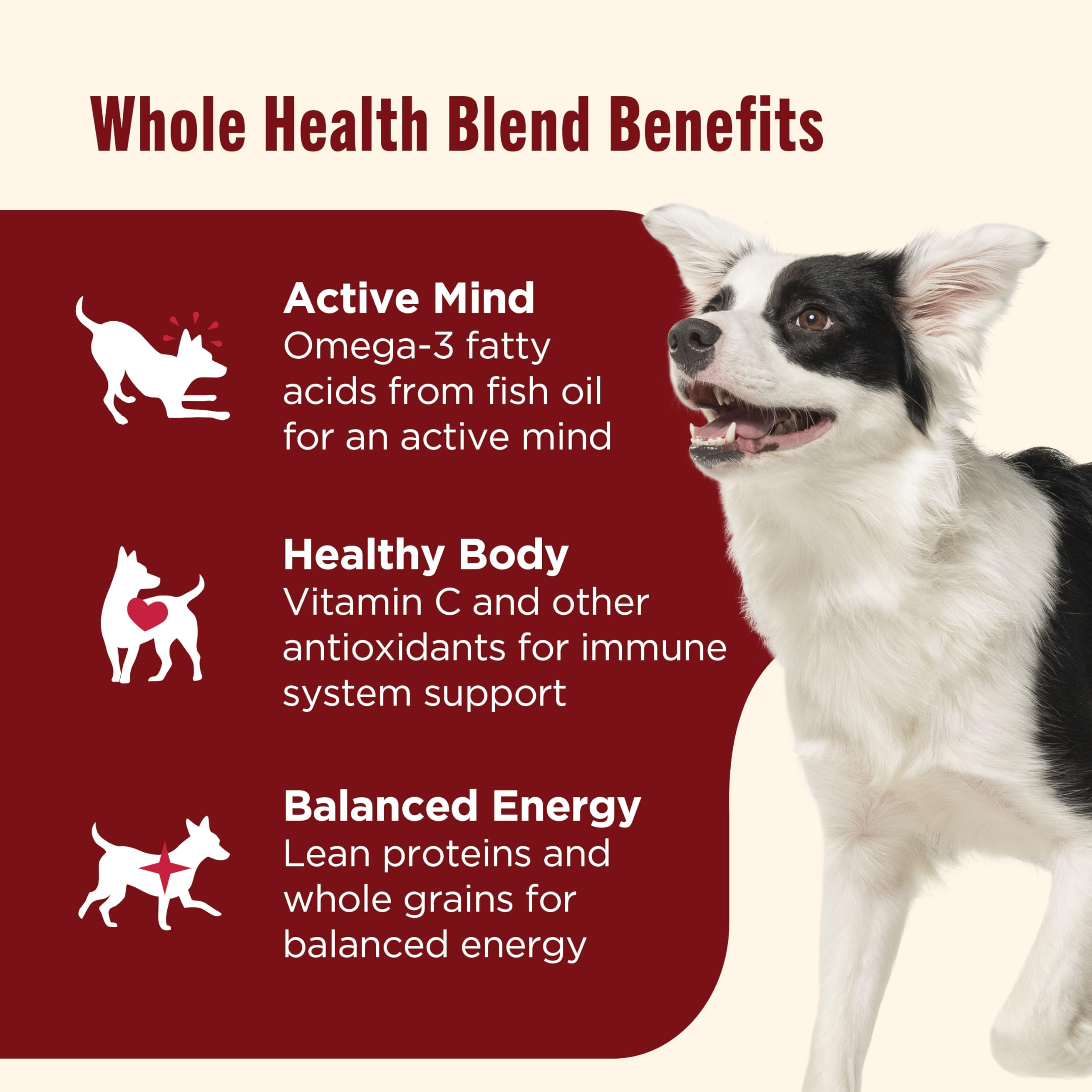 Nutrish Rachael Ray Premium Natural Dry Dog Food with Added Vitamins, Minerals & Taurine, Real Beef, Pea, & Brown Rice Recipe, 6