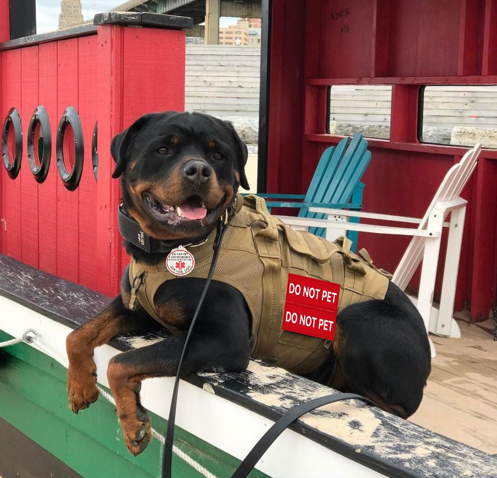 Do Not Pet Patch 2 Pcs Service Id Dog Tag Easily Attach To Collar, Harness (Black Patch-Medium 1.50 X 5.12)