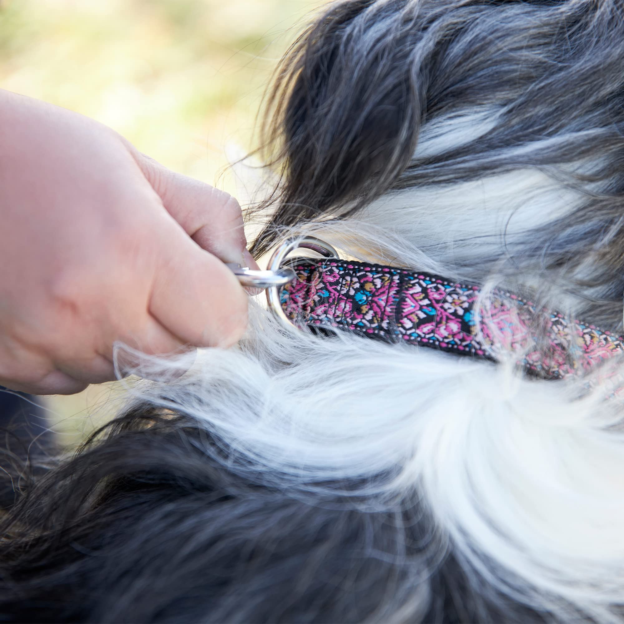 Dog Collar For Small Medium & Large Dogs - Woven Pattern On Long Lasting, Adjustable And Strong Puppy Quick Release Buckle, Qual