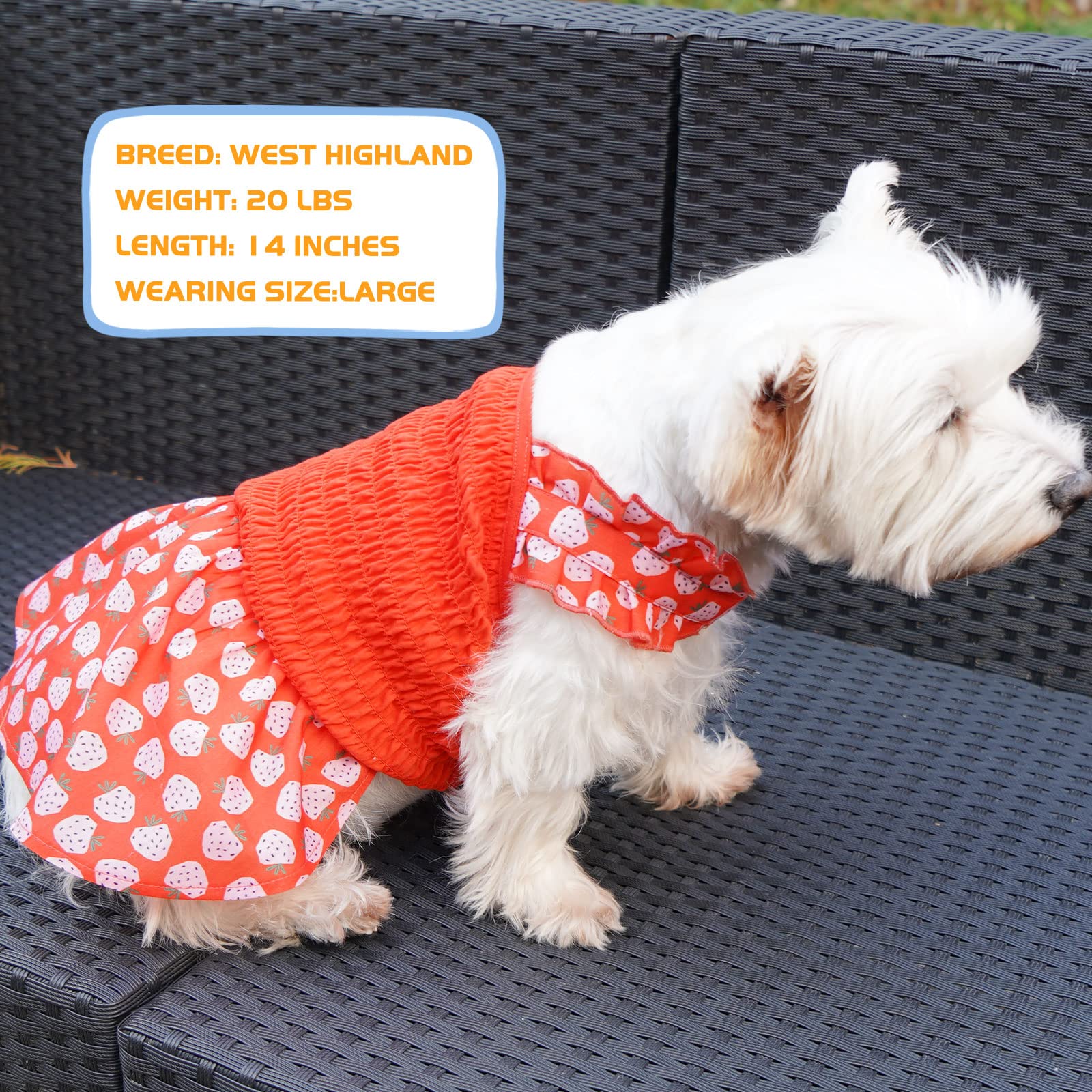Kyeese Dog Dress Red Dog Skirt For Small Dogs With Strawberry Pattern Doggie Sundress Dog Apparel