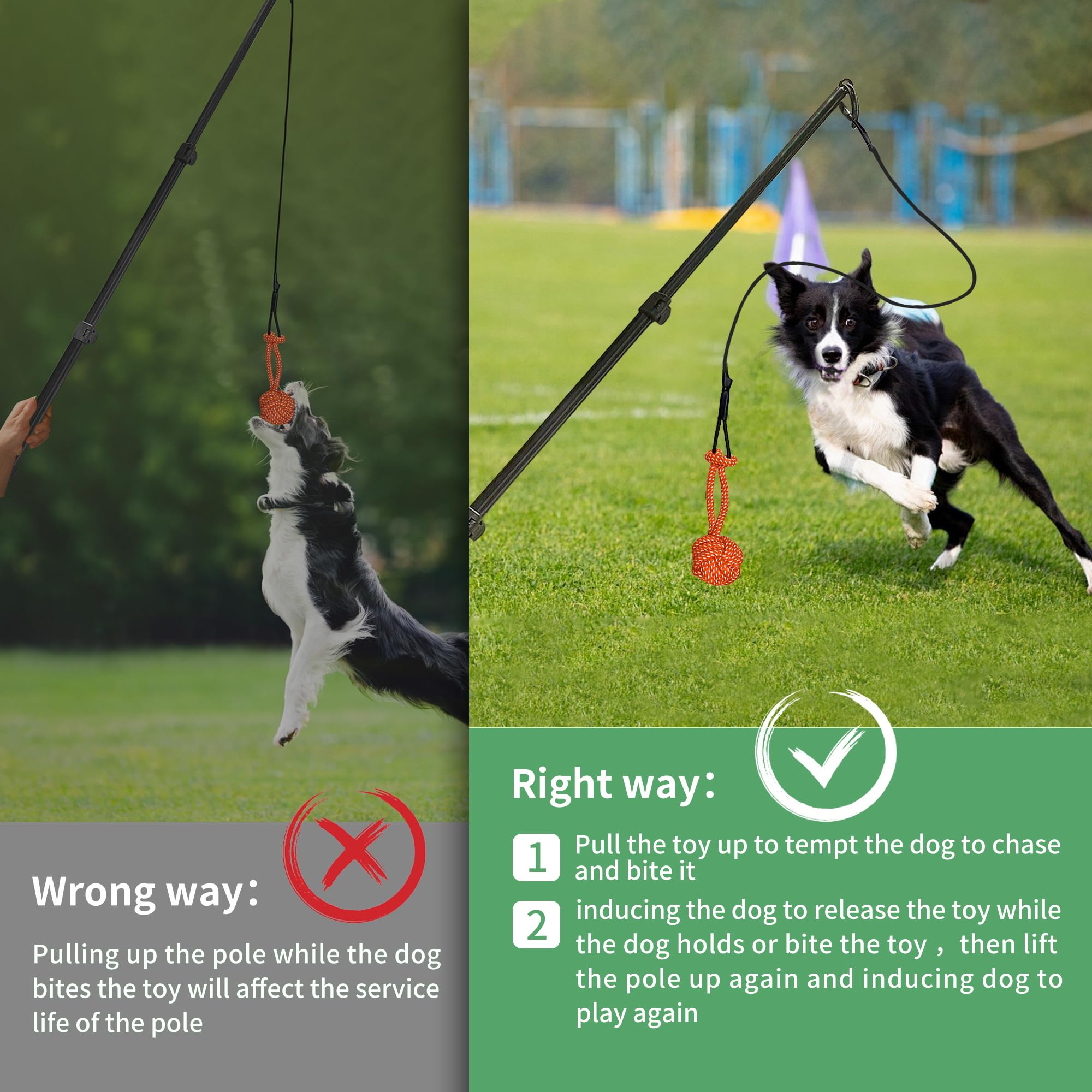 Amacielo Flirt Pole For Dogs, Interactive Toys Tug-Of-War For Dogs, Durable Teaser Wand, Chase Toys With Rope Chewing Sticks, For Outdoor Exercise & Training