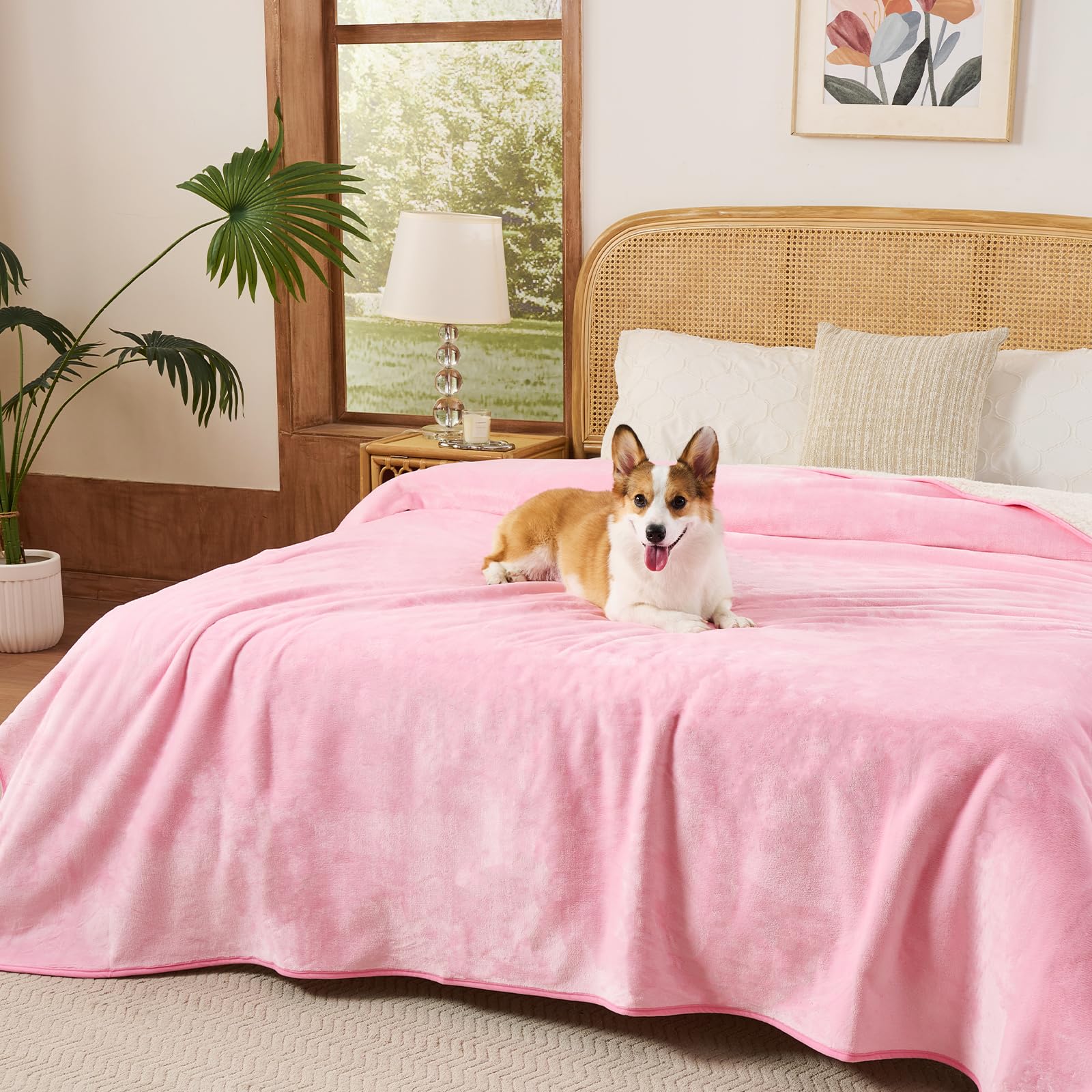 Sunheir Waterproof Blanket for Queen Size Bed - 90x86 Soft Reversible Sherpa Fleece Flannel Dog Blankets for Large Dogs, Pet Bla
