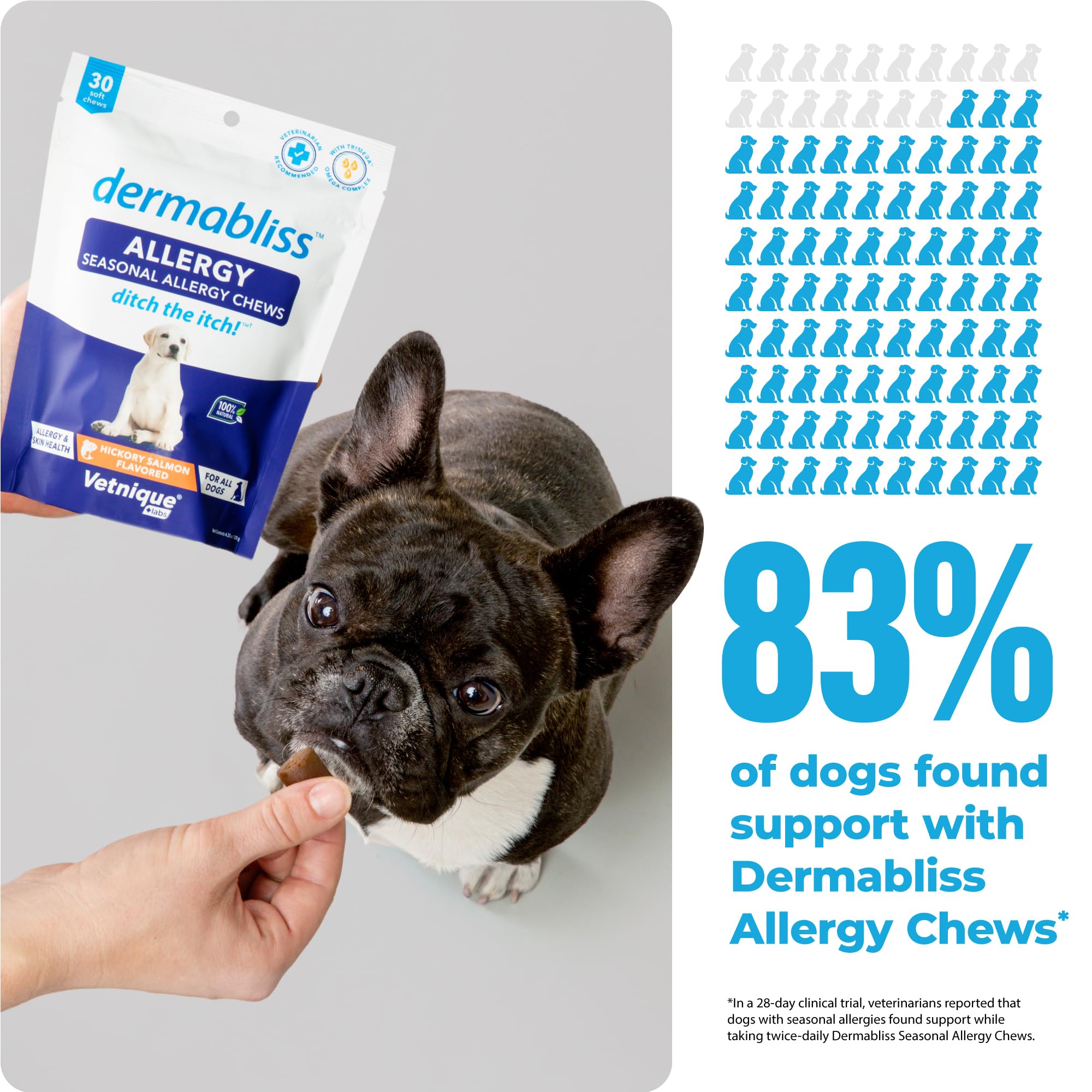 Vetnique Dermabliss Seasonal Dog Allergy Relief & Immune Support Supplement Allergy Chews for Dogs Itching and Licking with Omeg