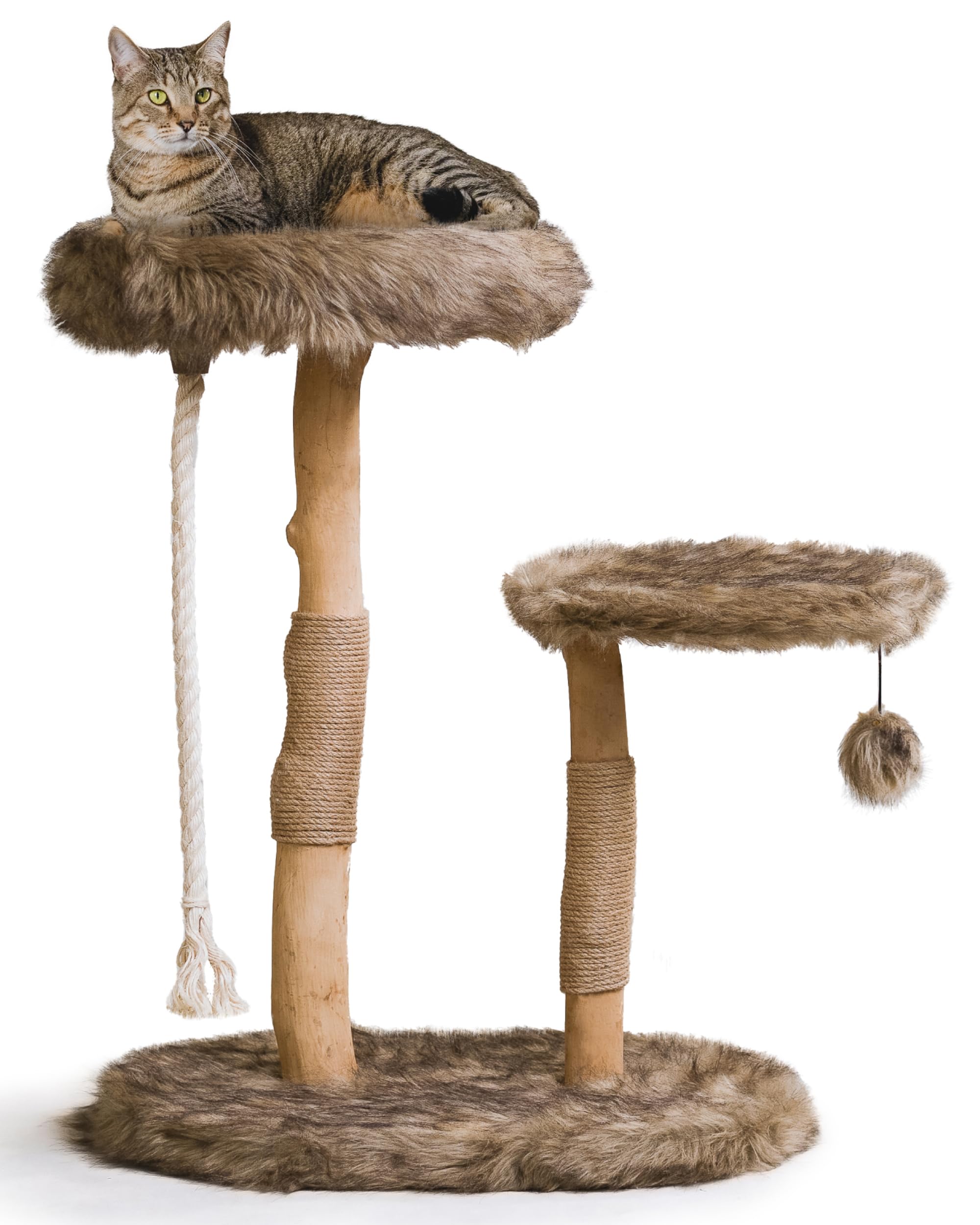 Mau Lifestyle Modern Cat Tree Tower - Natural-Branch Cat Condo & Luxury Wood Cat Scratching Tree - Luxury Cat Gifts By Mau Lifes