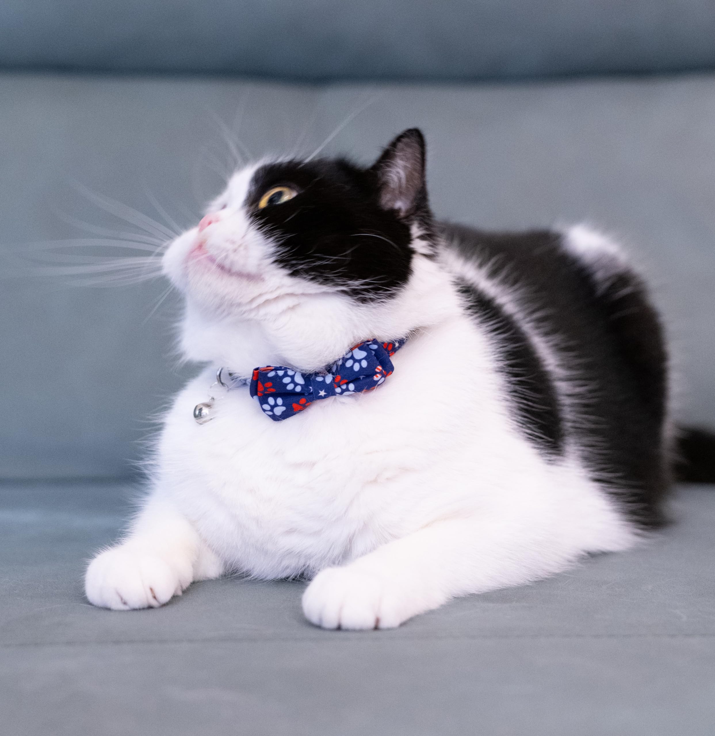 Gyapet Cat Collar With Bowtie Bell Safety Breakaway Kitten 7-11In 4Th Of July Independence Day Adjustable Us Flag-Paws