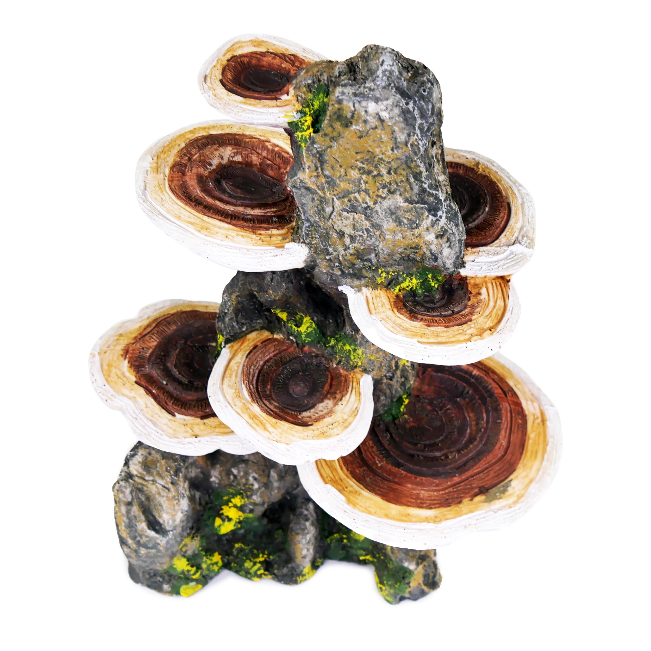 Penn-Plax Deco-Replicas Tree Trunk With Shelf Mushrooms Aquarium Decoration – Safe For Freshwater And Saltwater Fish Tanks – Medium