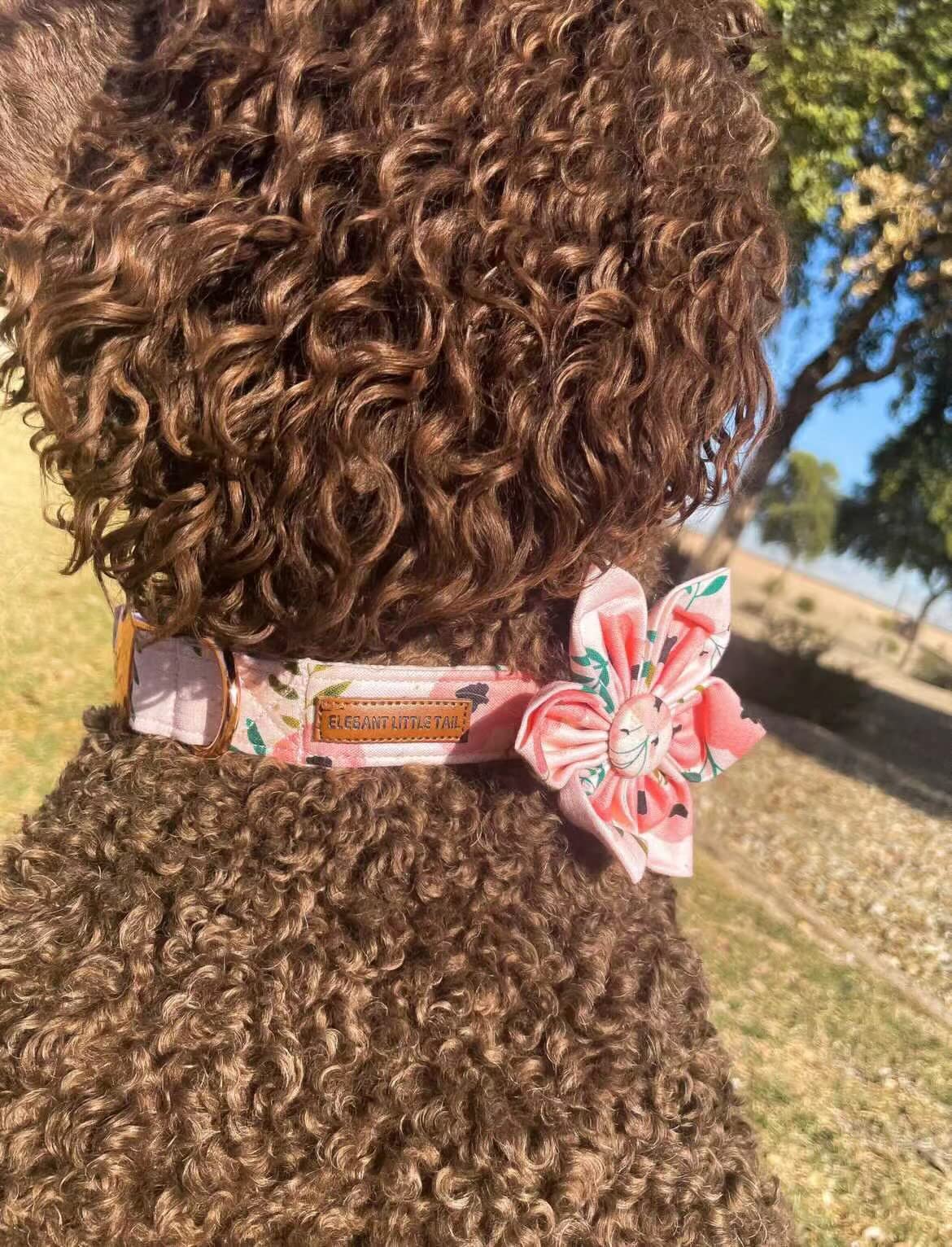 Elegant Little Tail Flower Girl Dog Collar For Female Dogs, Pet Collar Adjustable Dog Collars With Flower Gift For X-Small Dogs And Cats